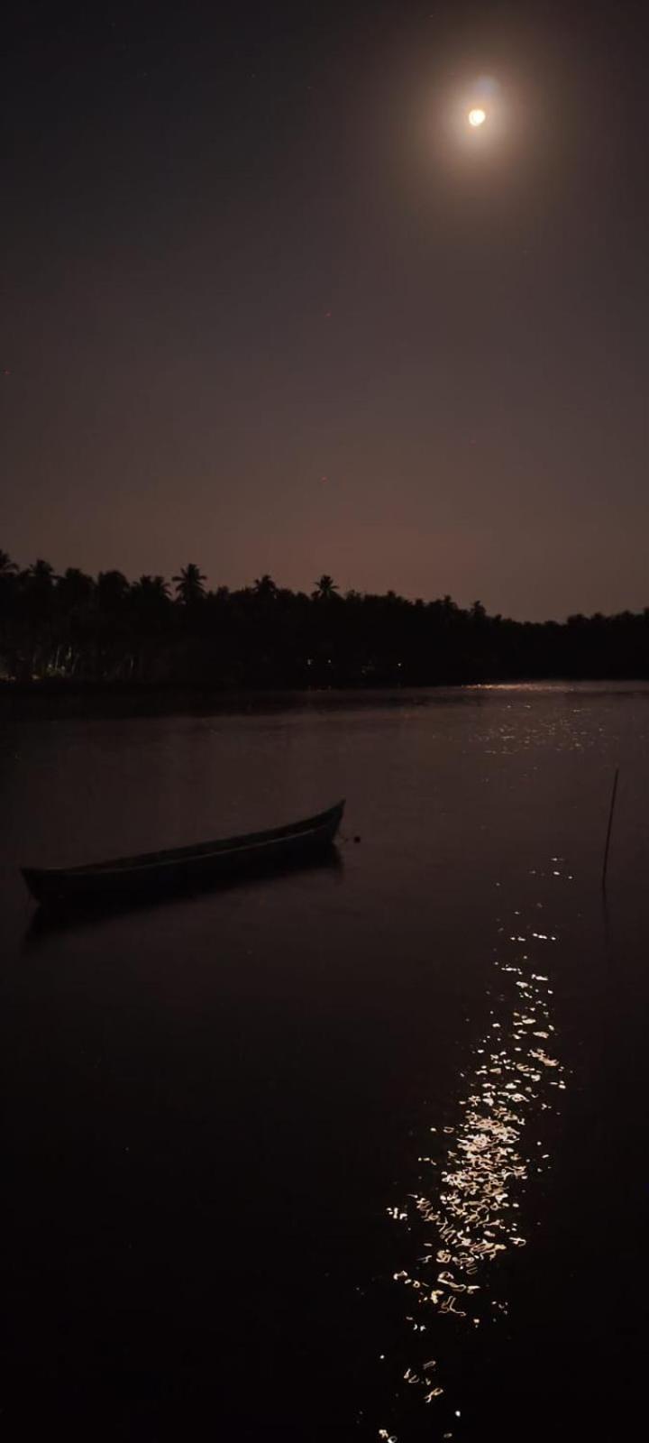 Hangout, photo 14