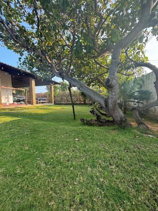 Taiba Dantas House