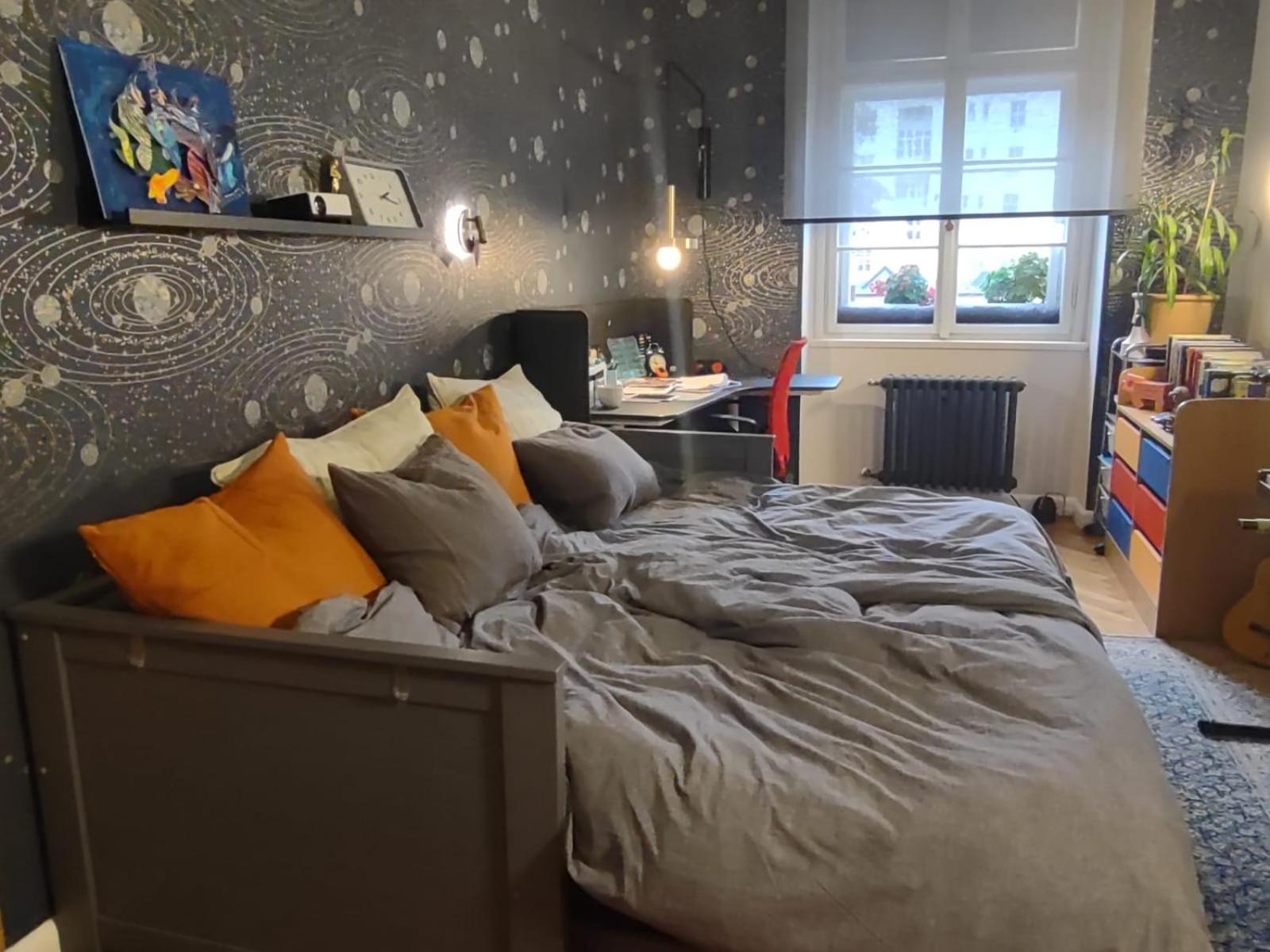 Spacious Apartment in Central Prague 3 bedrooms, 6 people