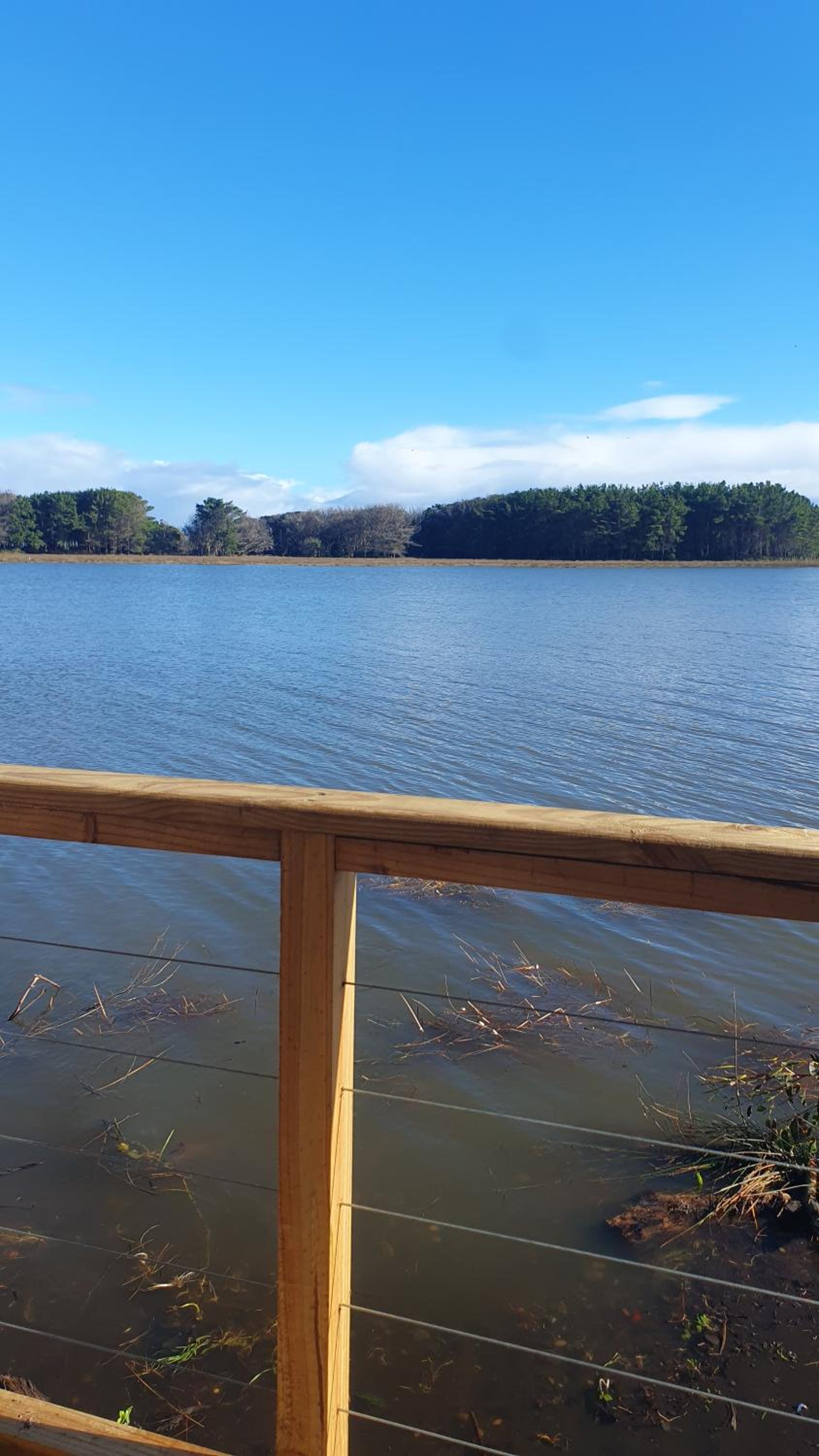 Loft vista al río