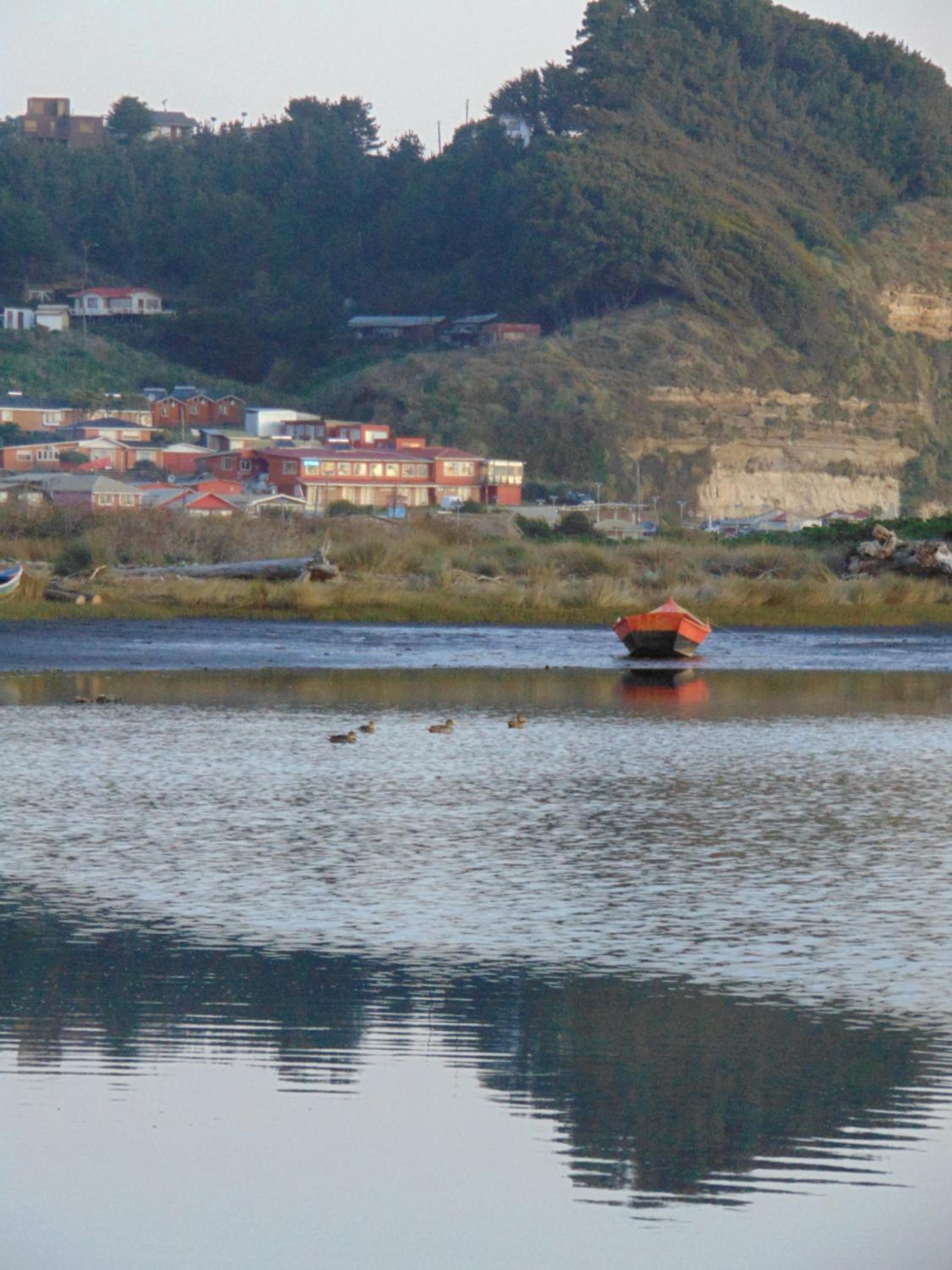 Loft vista al río