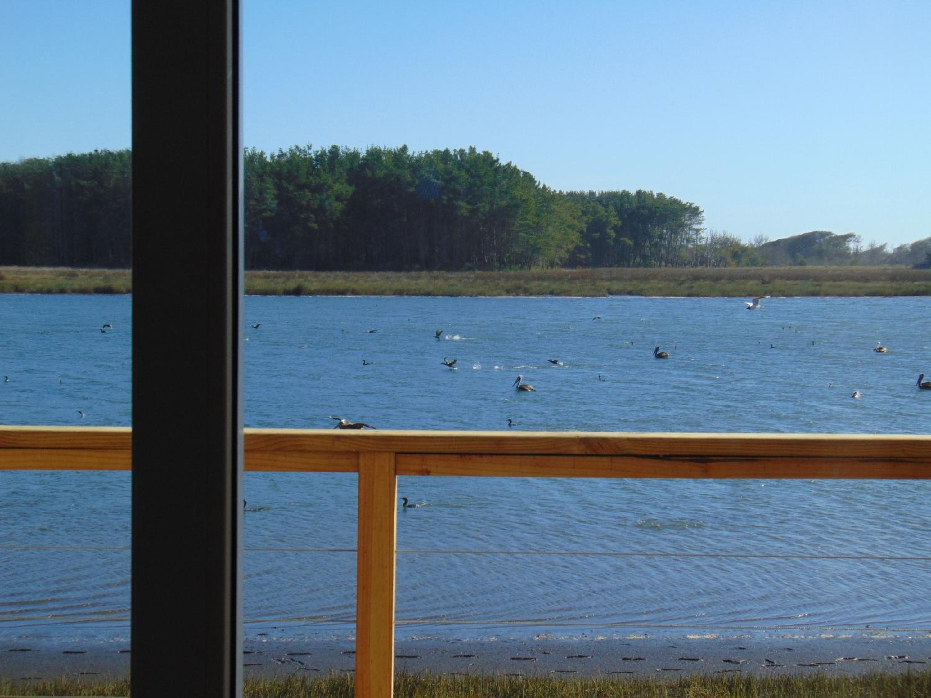 Loft vista al río