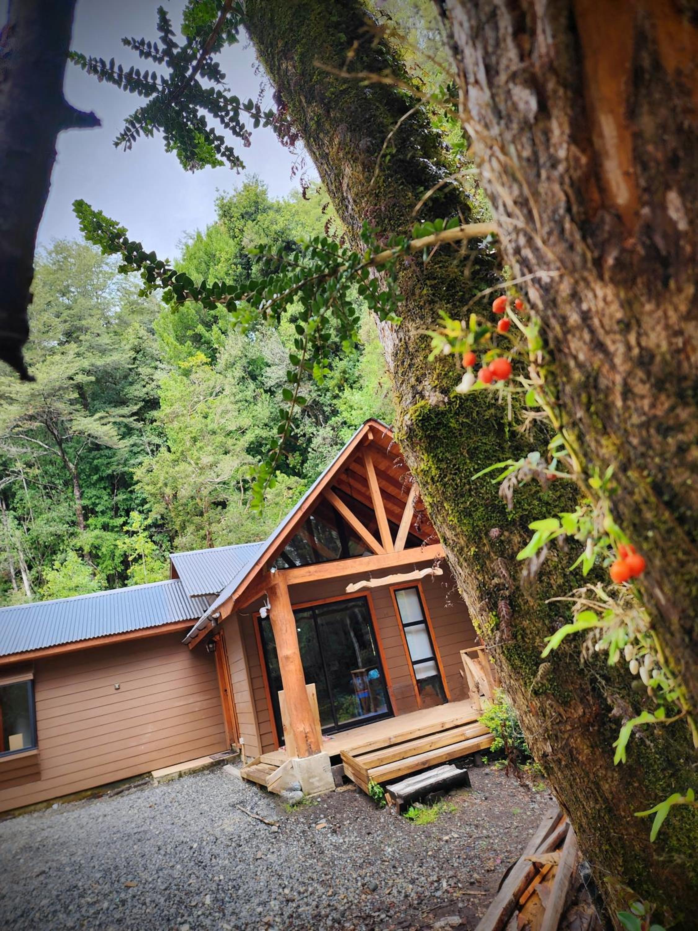 Cabañas Alto del Bosque