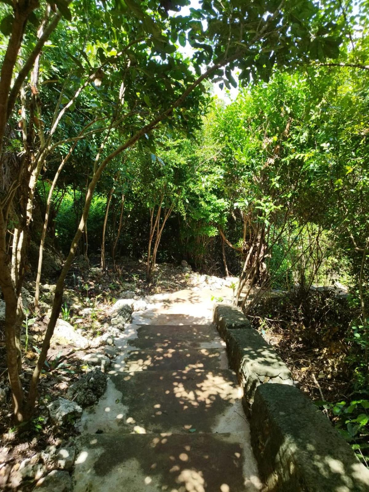 MONKEY MOUNTAIN LODGE