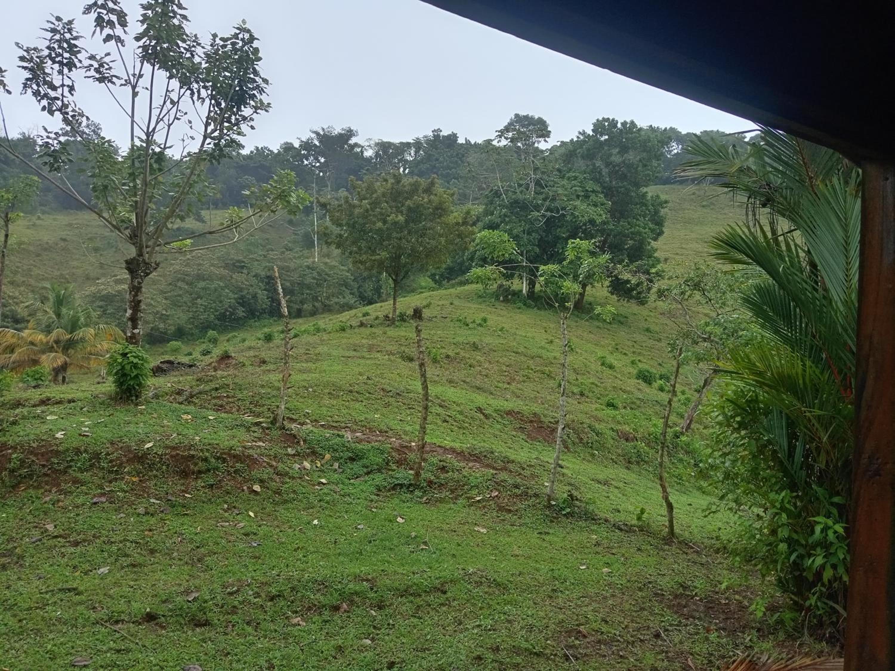 other