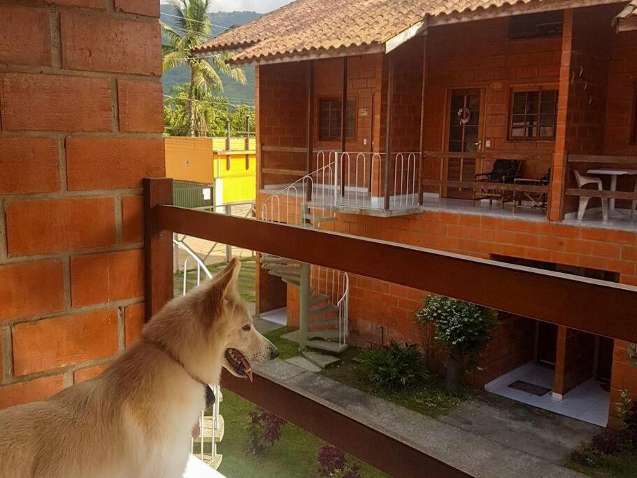 apartamento 200 mts praia do sape com piscina