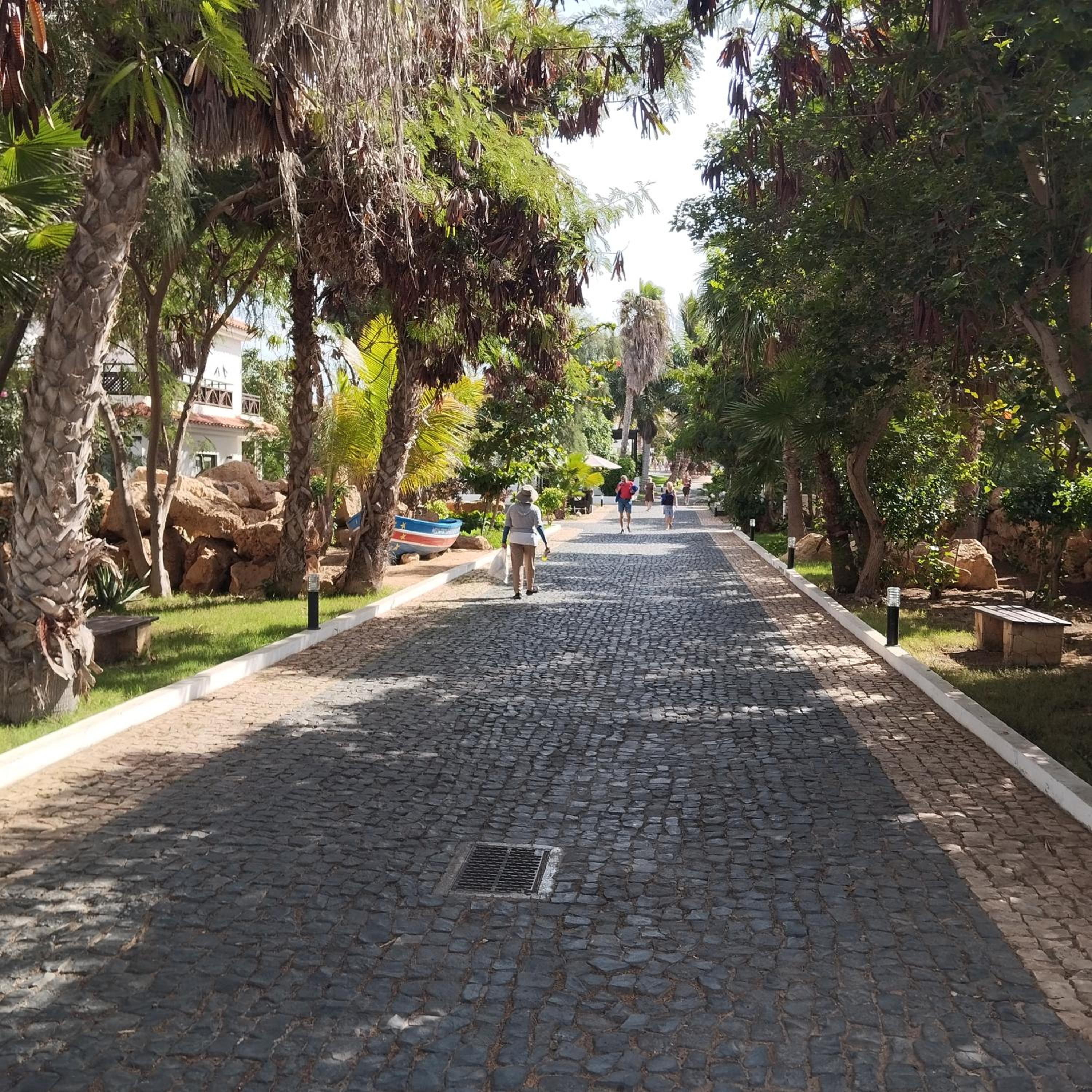 2bed Apartment - Petit Paradis in Melia Tortuga