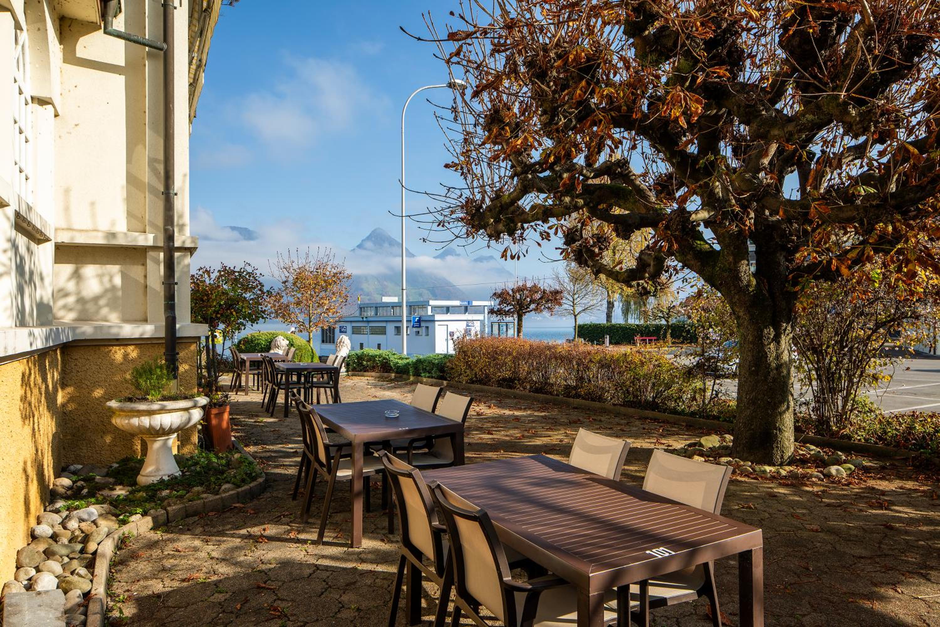 Rigiblick am See