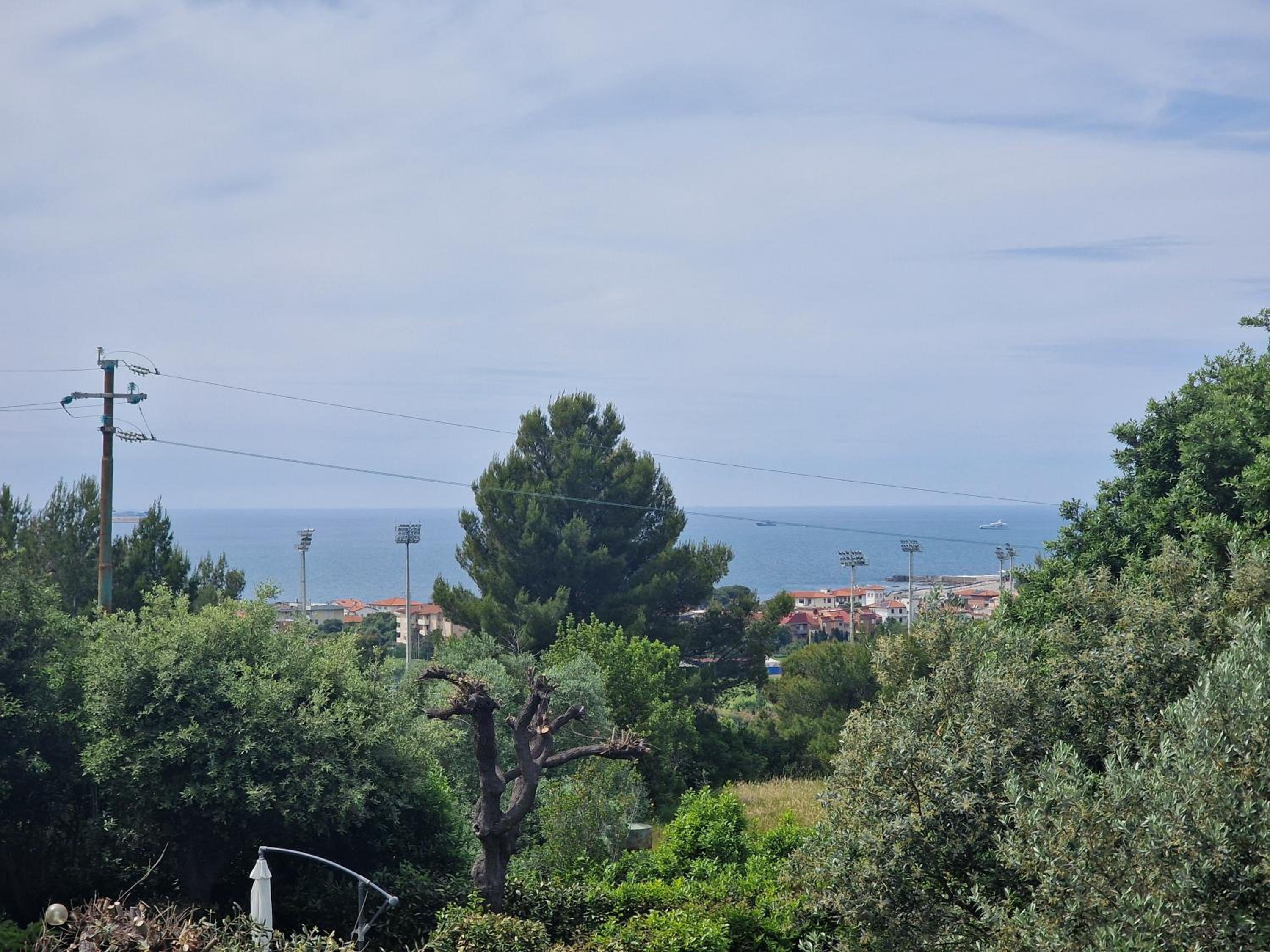 Campo Al Lupo