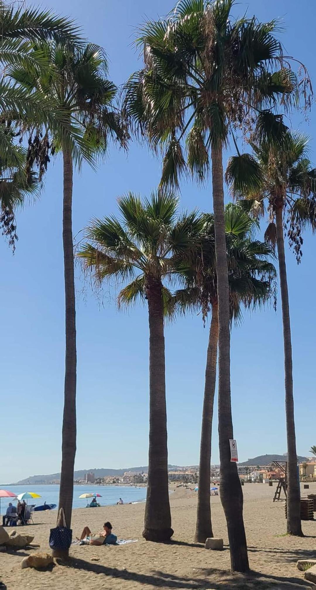 Marina Casares Beachside Apartment