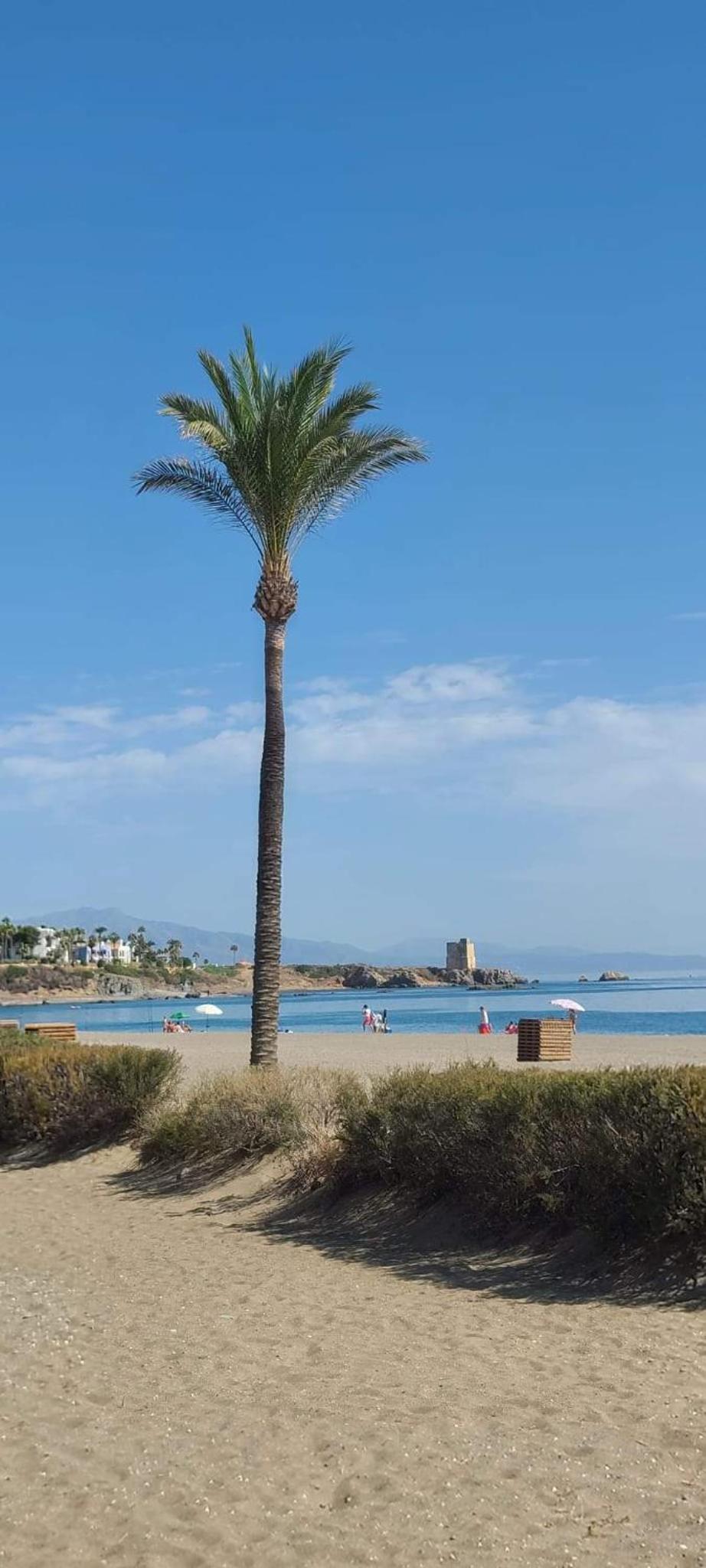 Marina Casares Beachside Apartment