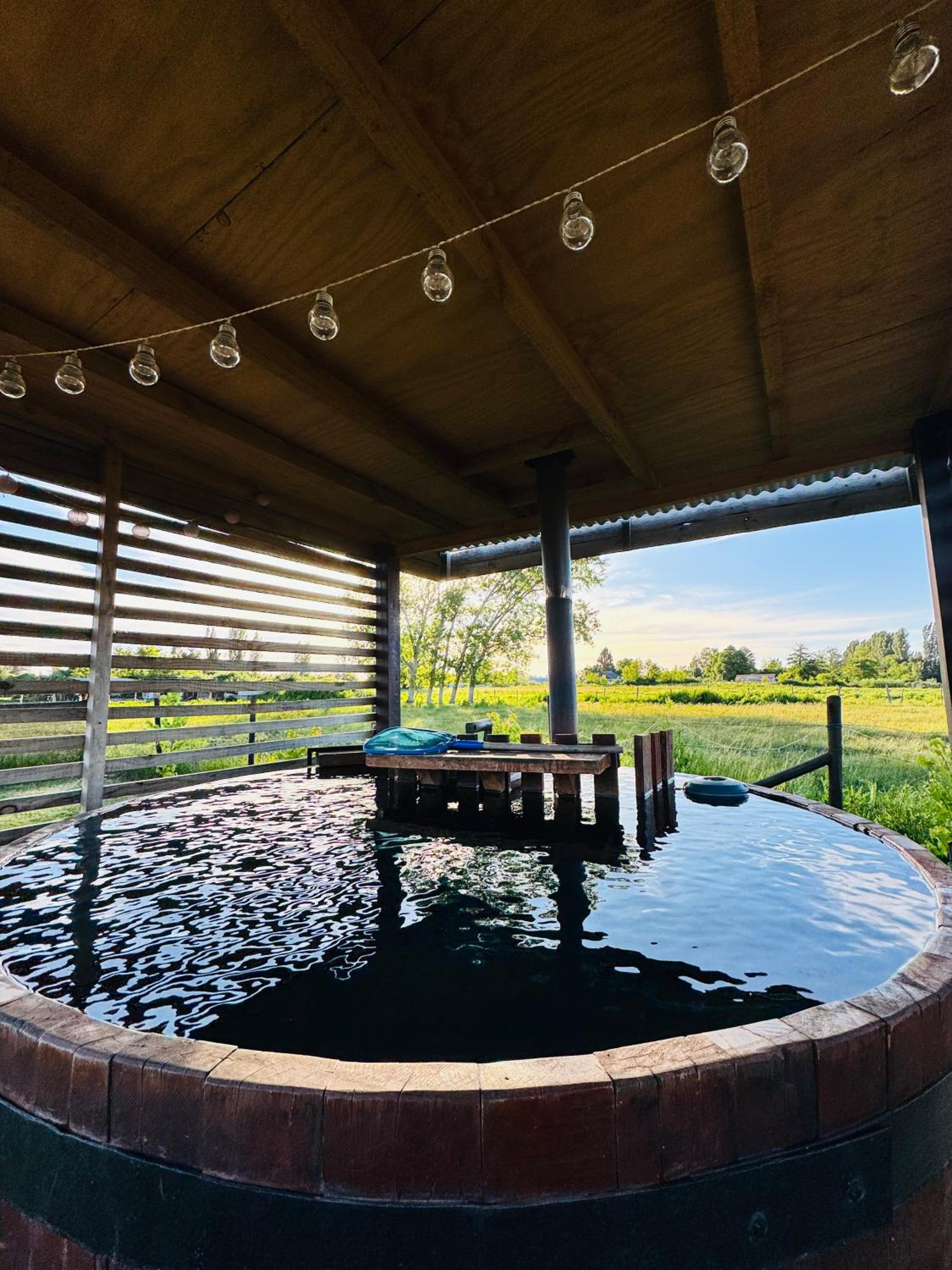 LETICE LODGE Chillán