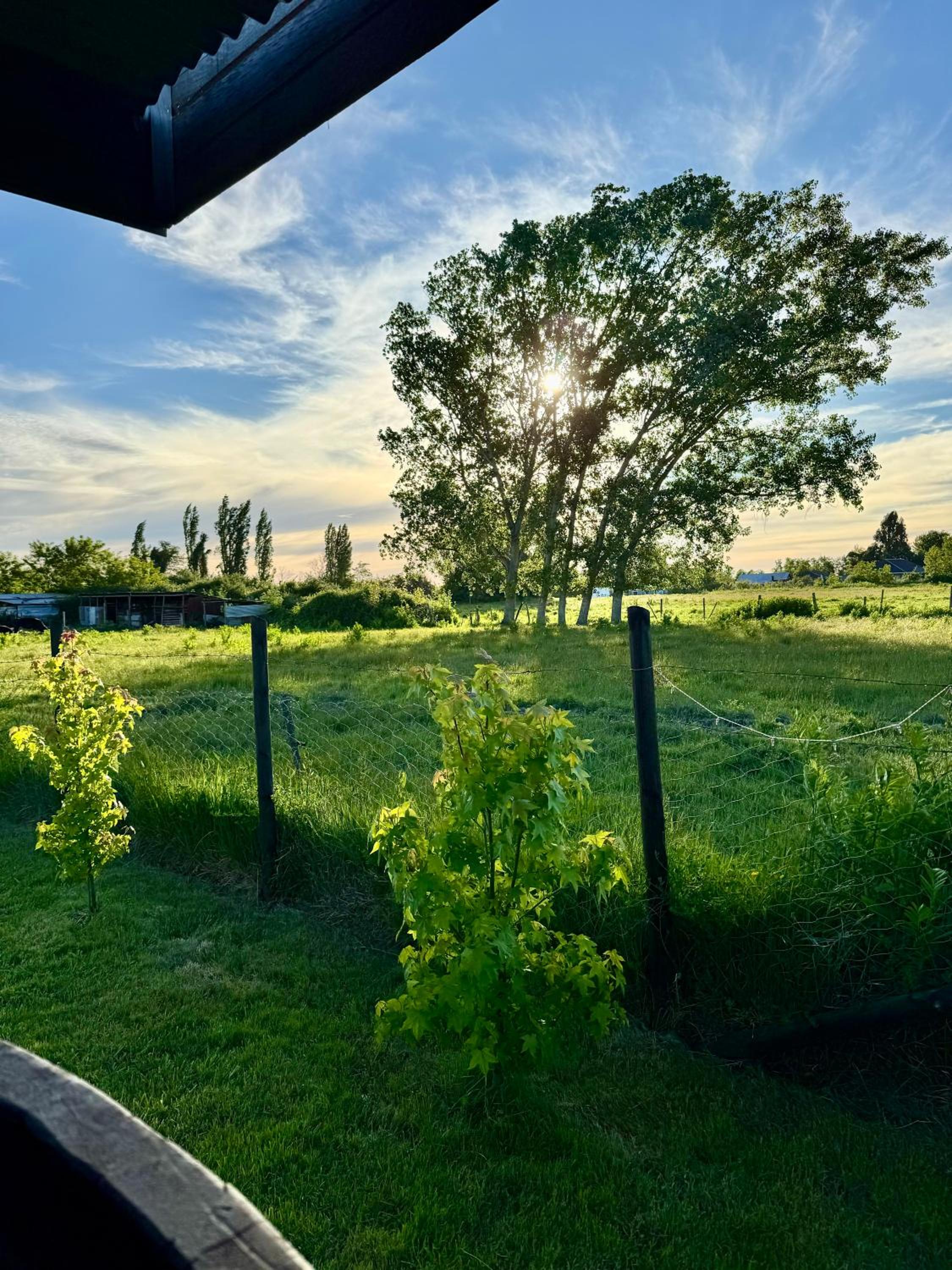 LETICE LODGE Chillán