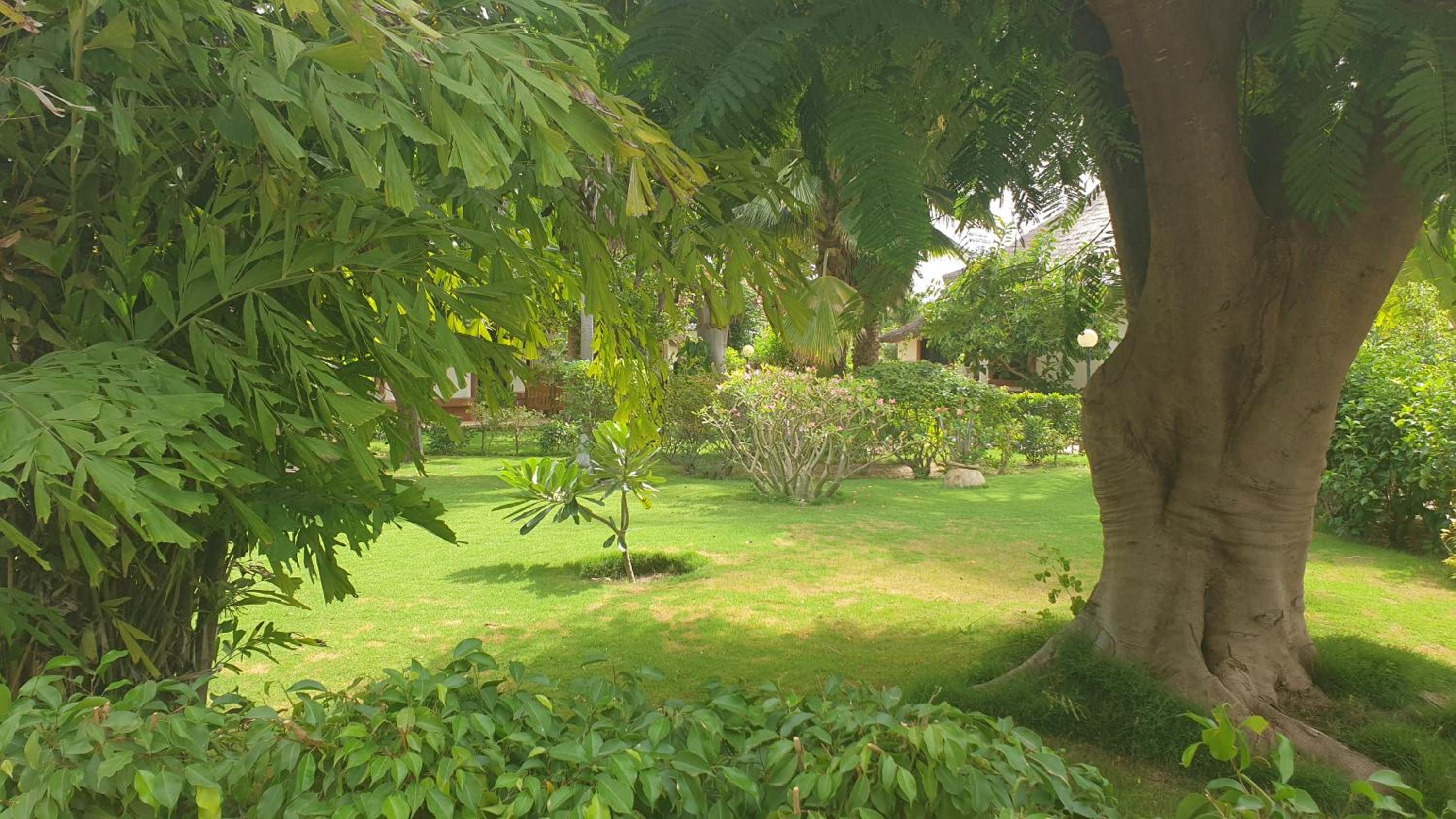 Teranga saly senegal