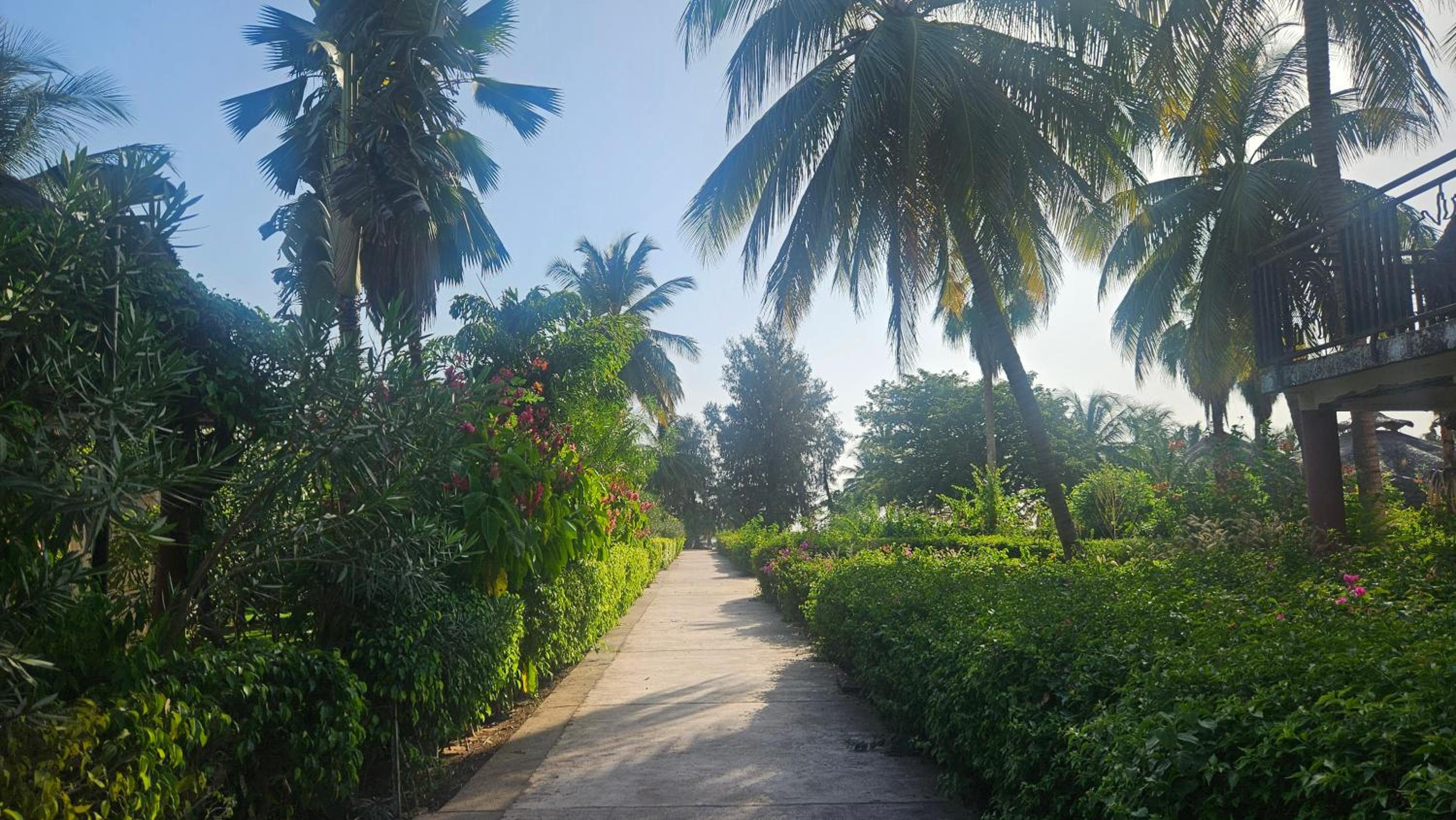 Teranga saly senegal