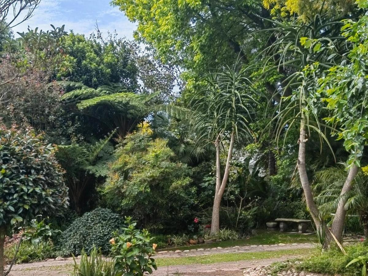 Birdsong Cottage