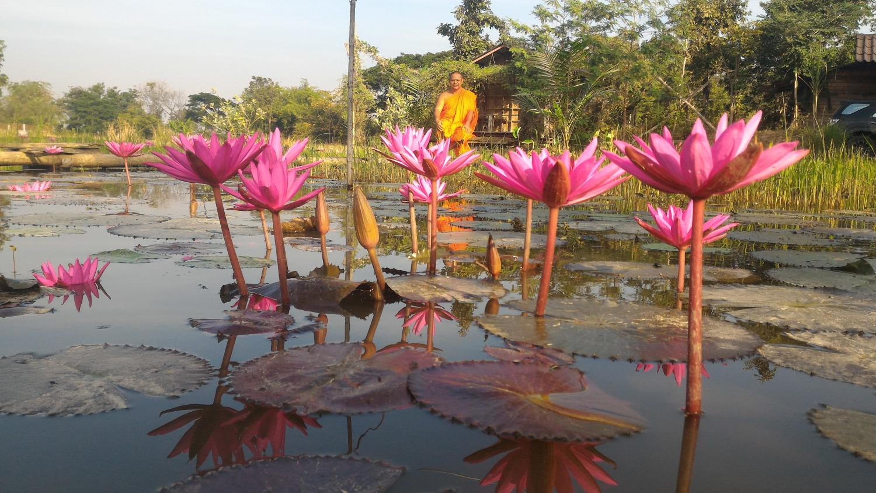 Sukhothai City Resort