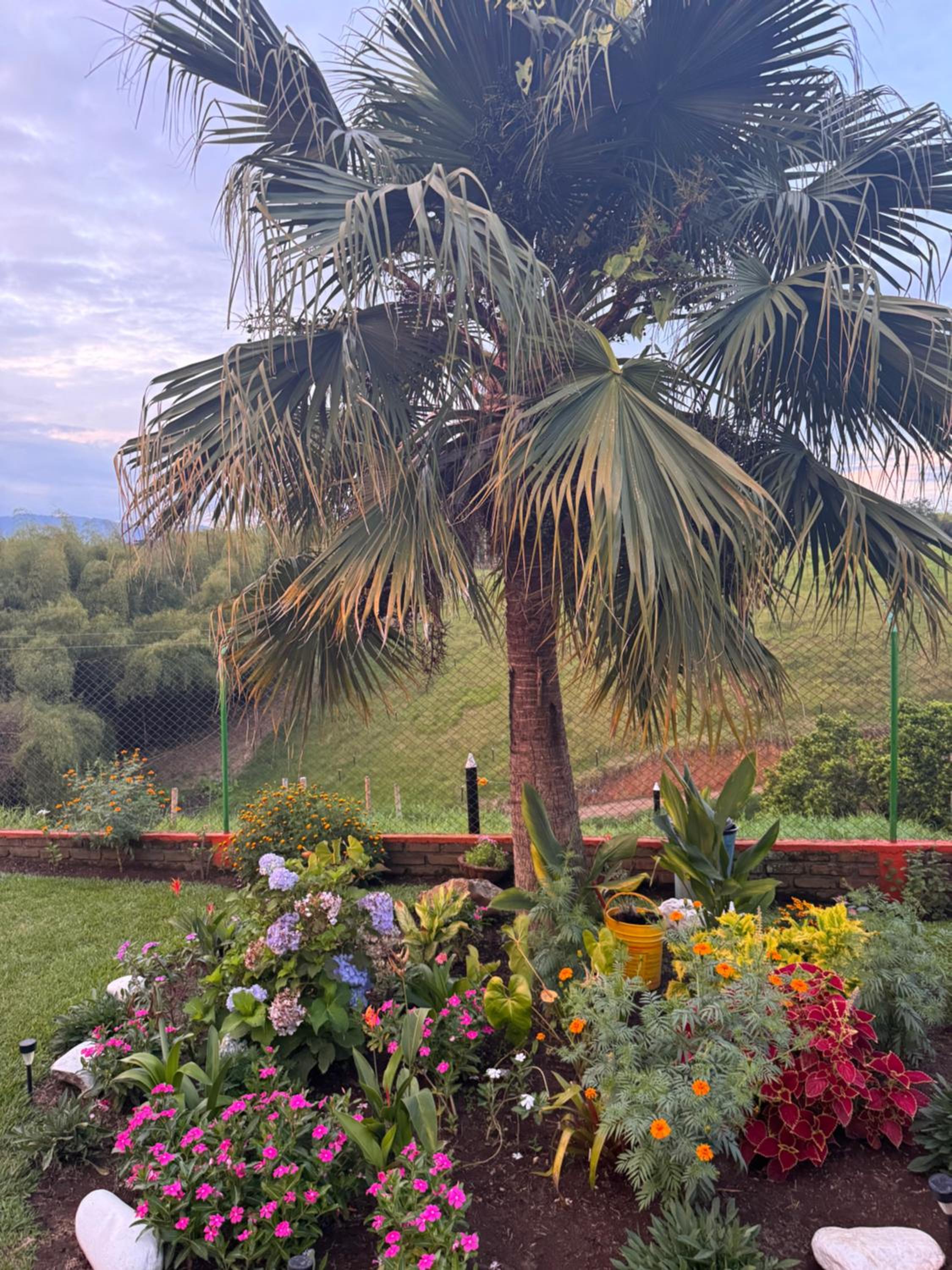 Finca La Gaviota