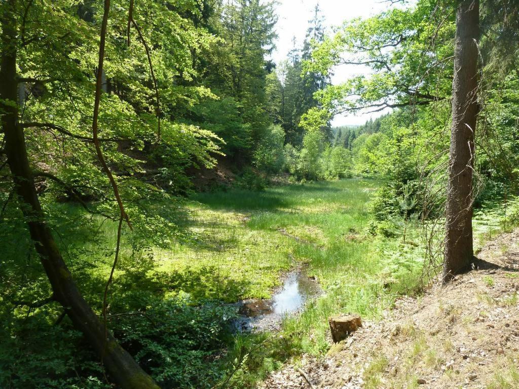 Photo 43