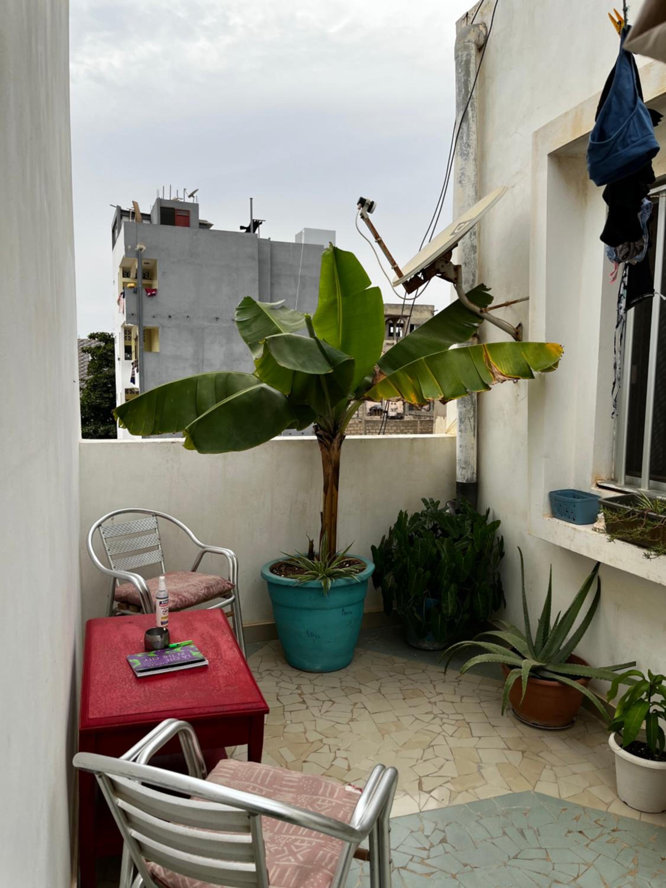 Photo 12
