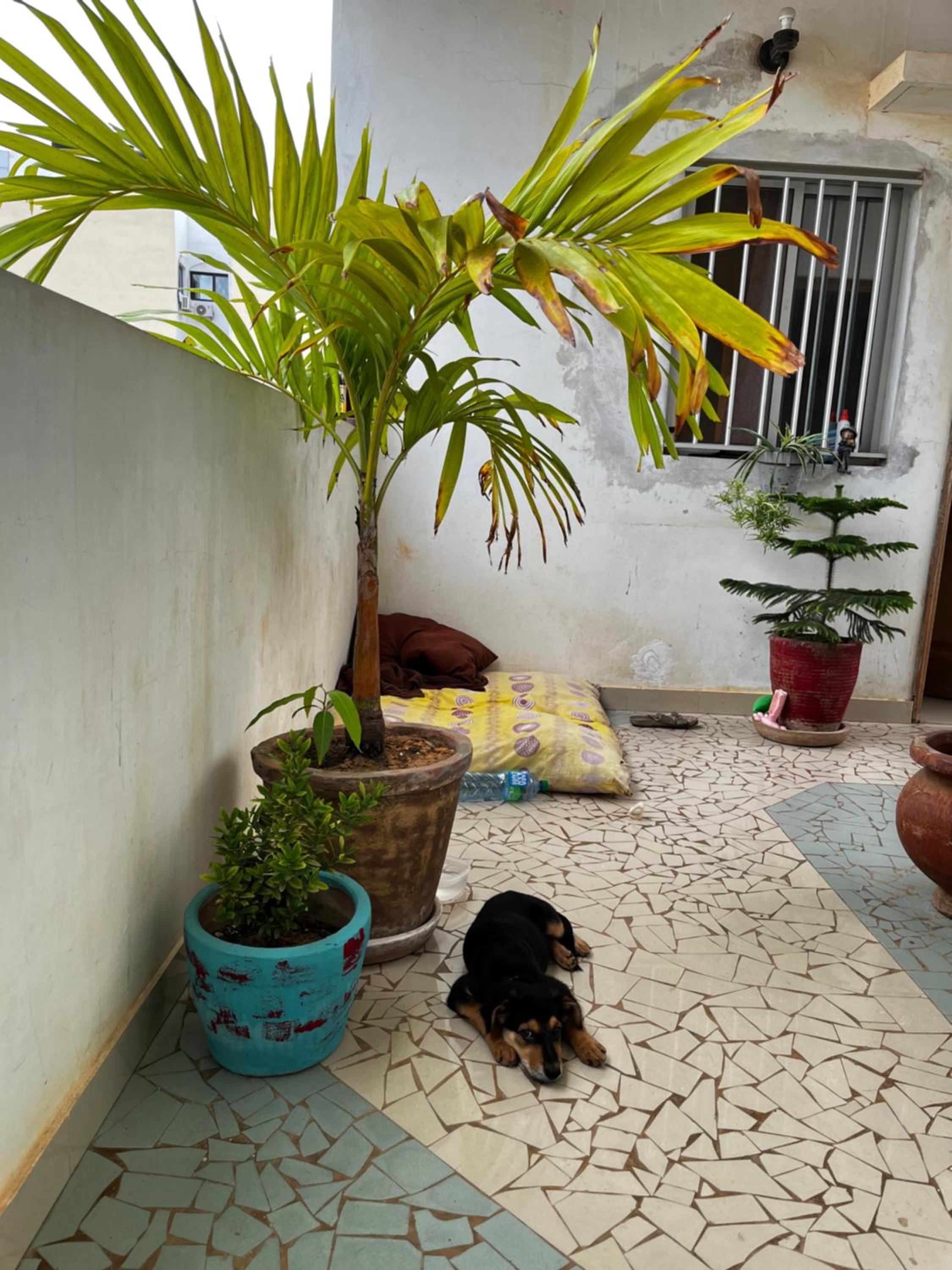Photo 15