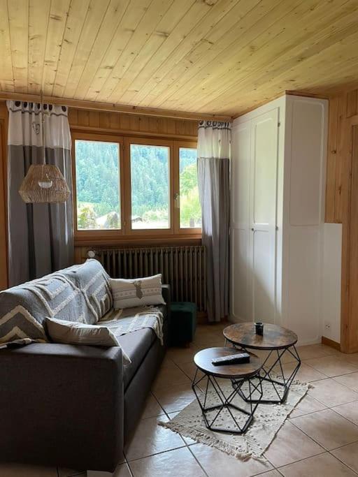 Appartement cosy dans chalet typique Région Diablerets Glacier 3000