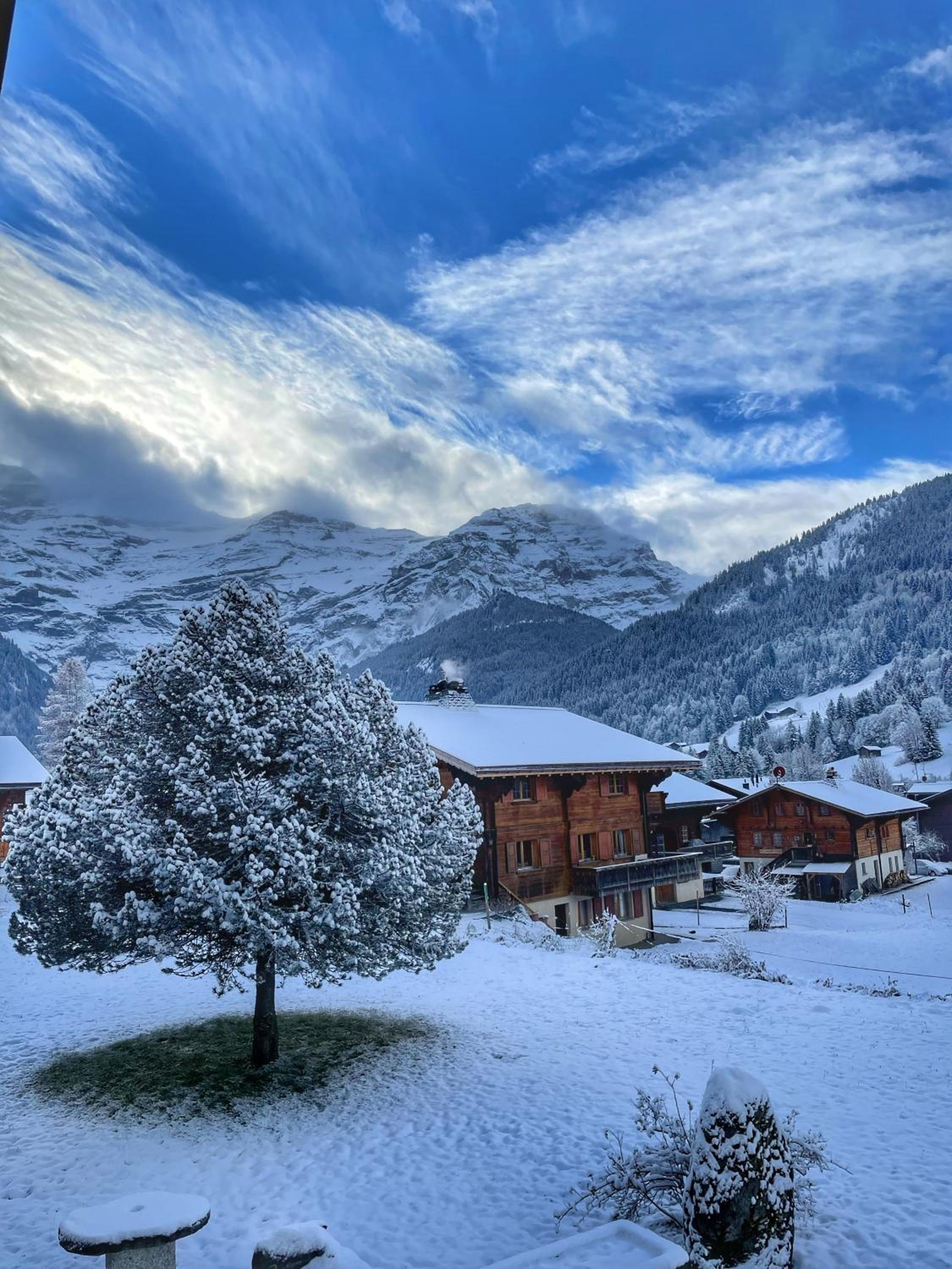 Appartement cosy dans chalet typique Région Diablerets Glacier 3000