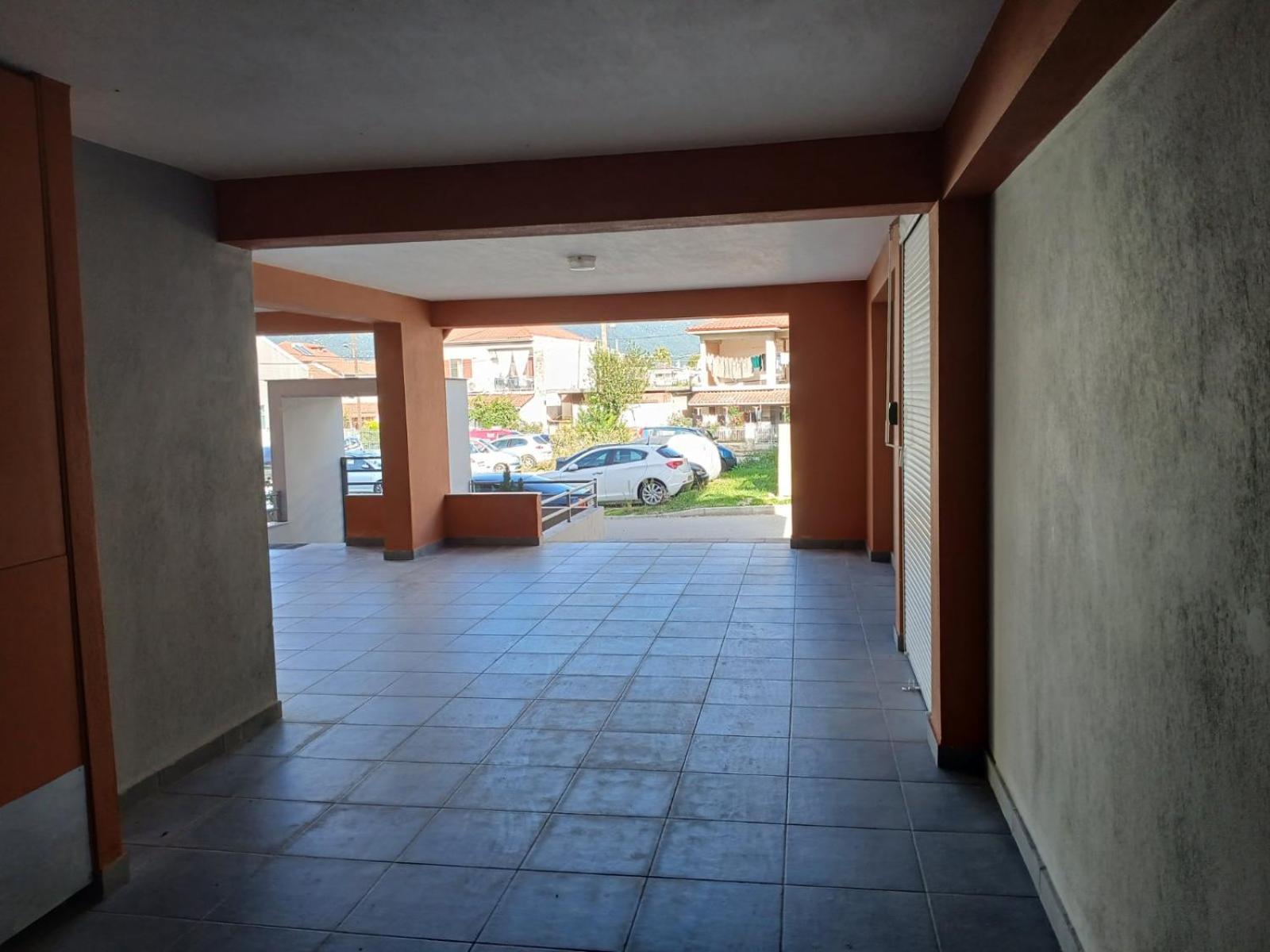 Serenity and Comfort Apartment