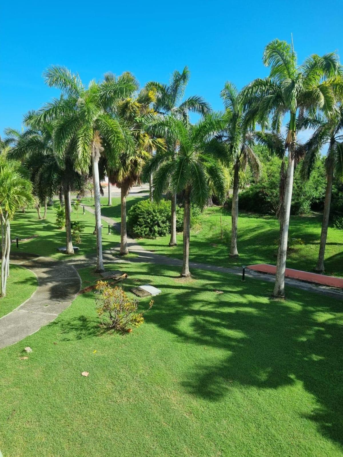 Studio Coco Passion view 2