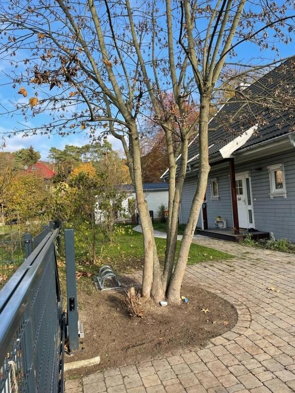 Ferienbungalow Arne am Wald