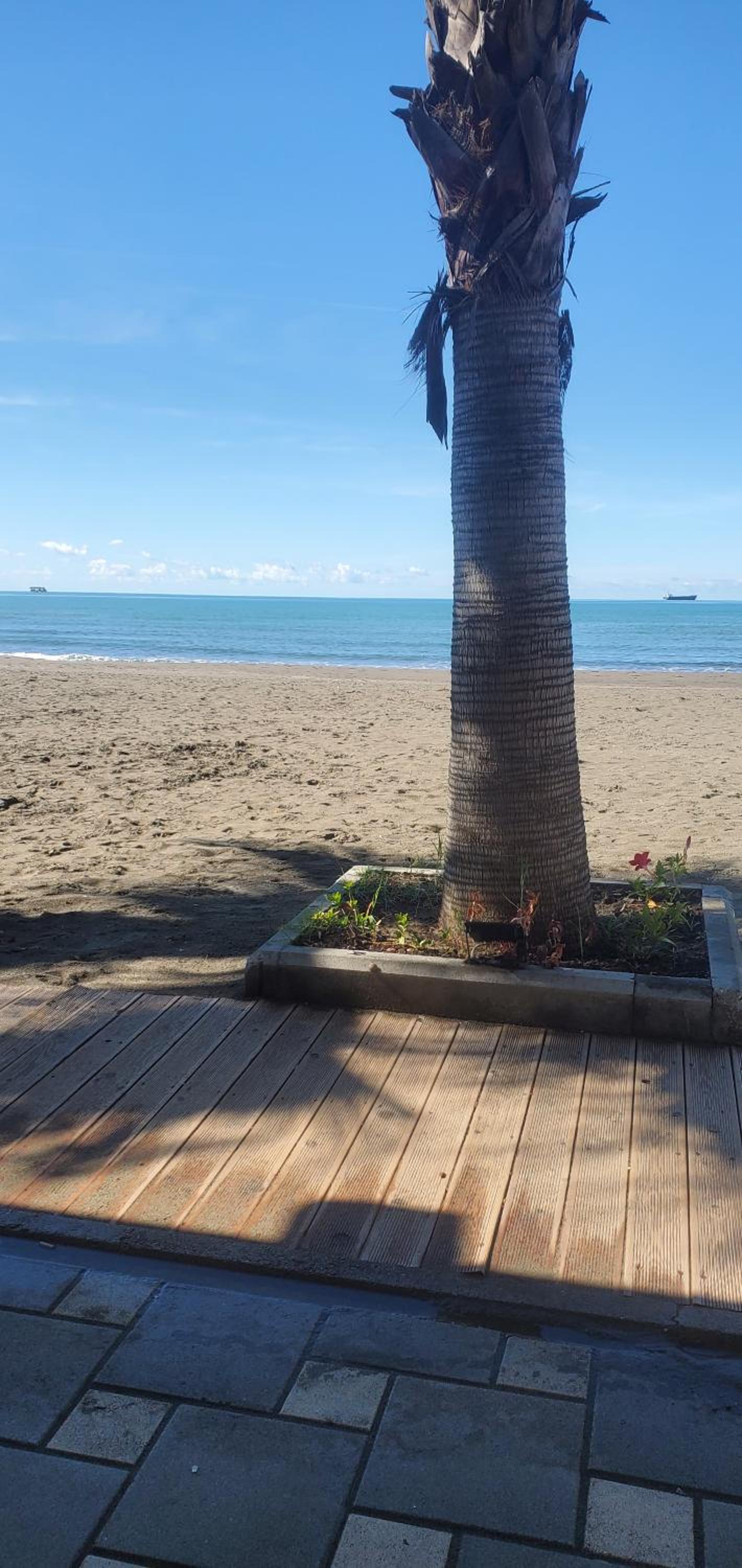 Kevin&Elisa Your home! photo 2