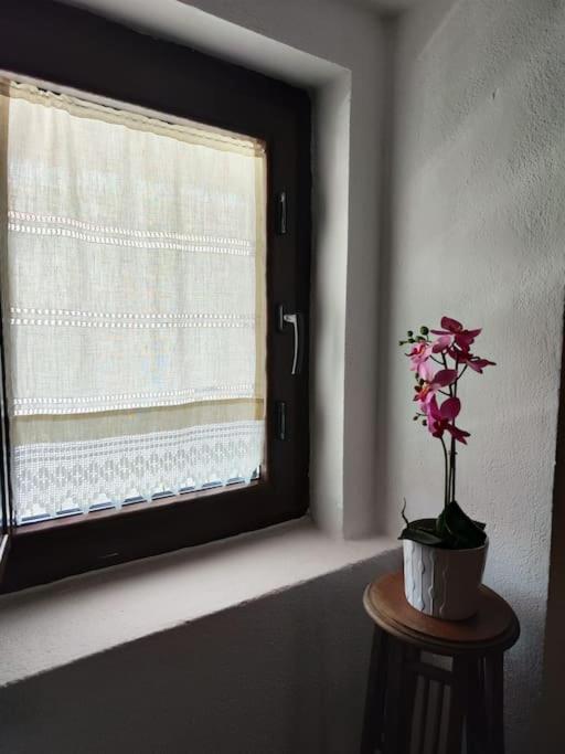 Casa dos Laia