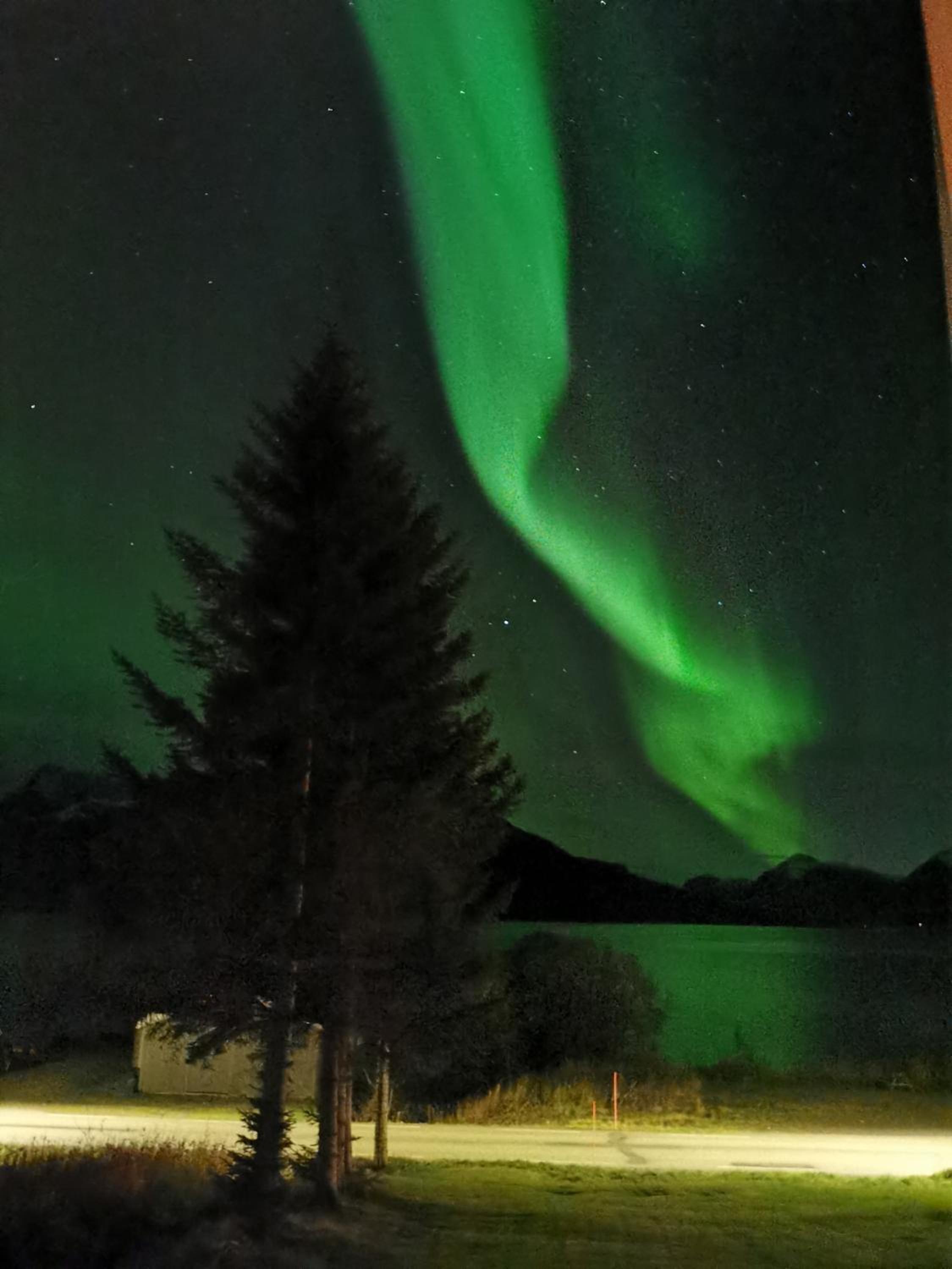 Arctic Cabin Lyngen