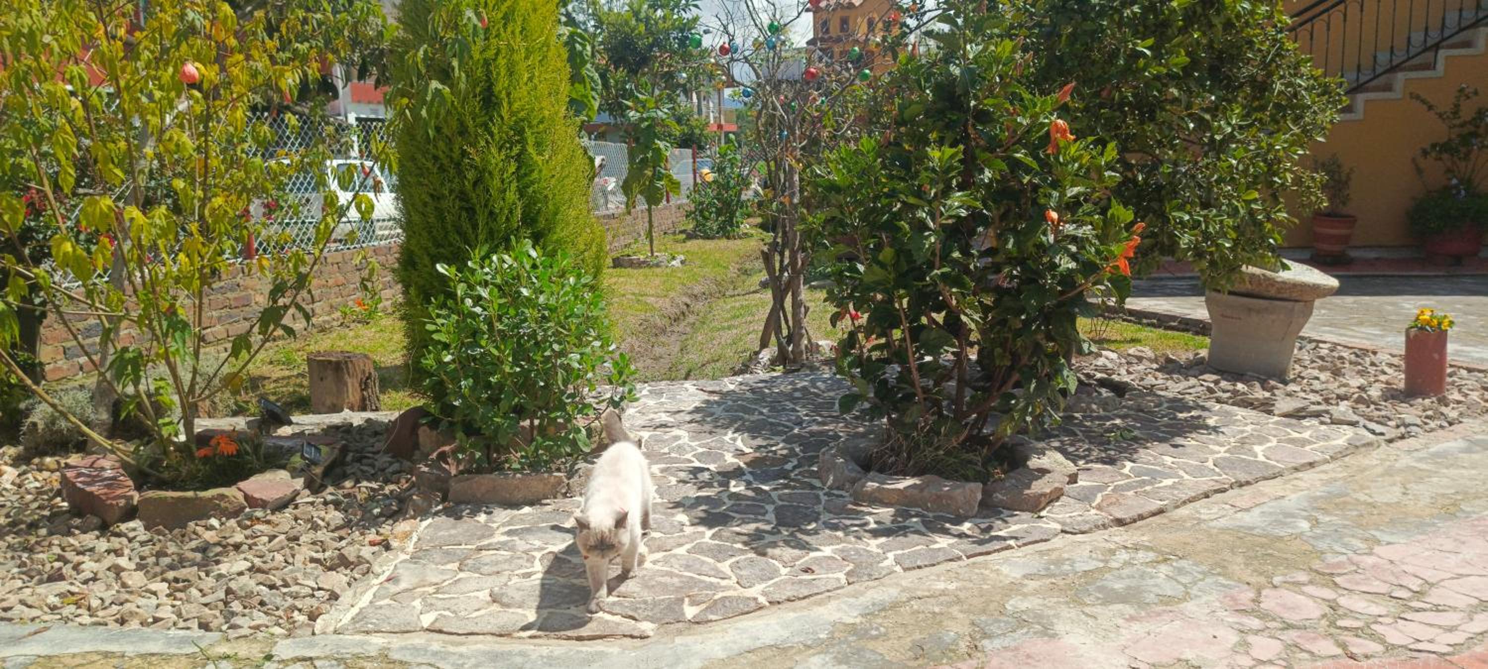 Apartamento Campestre la Posada de Leo view 2