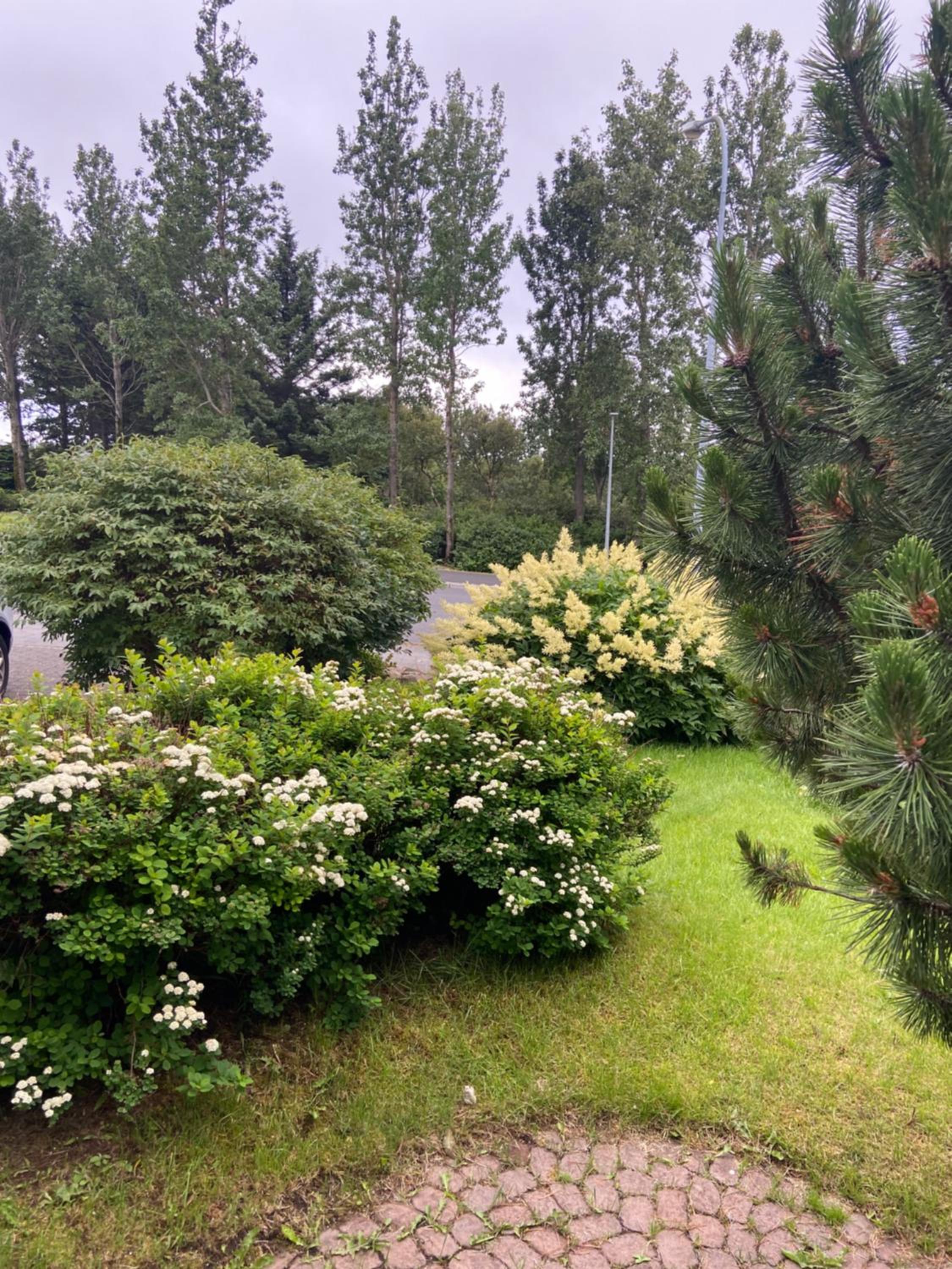 House close to city center