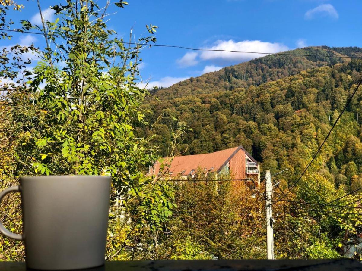 Mountain Nest - Relax and Retreat