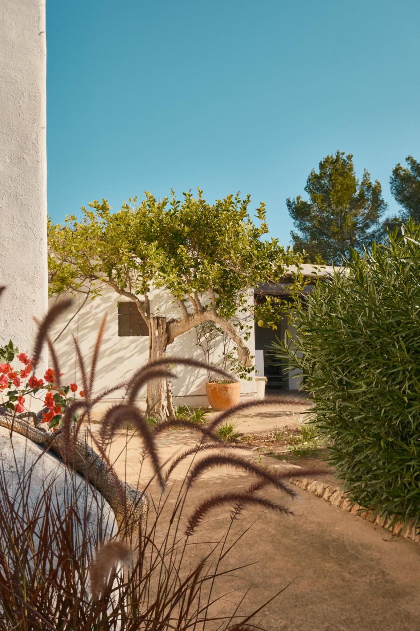 The Guardian House