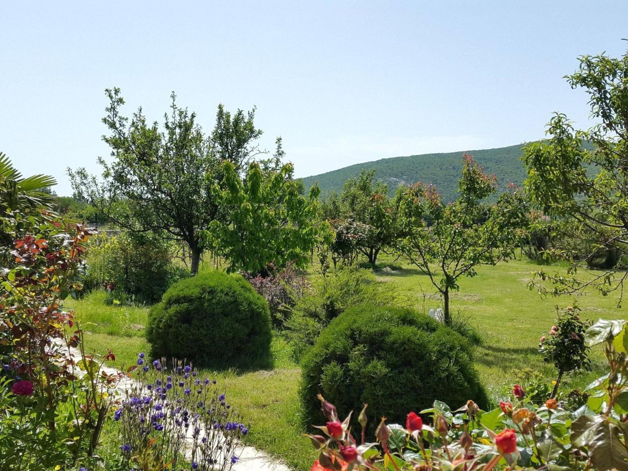 MY DALMATIA - Sport and Spa villa Neoric with private heated pool and tennis court view 5