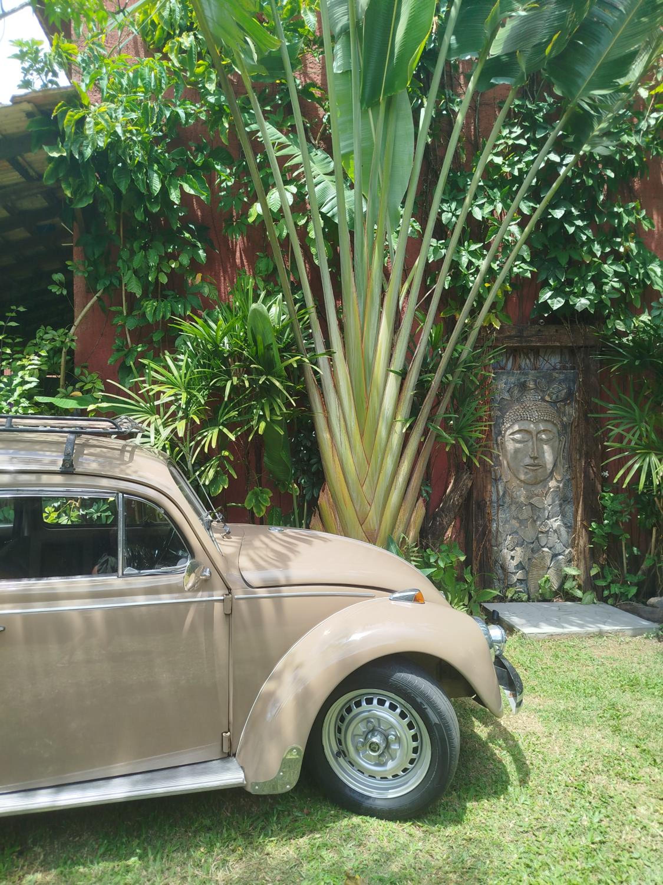 CASA DE CHICO