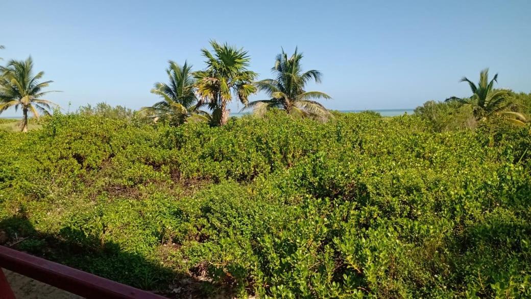 Cabañas El Cuyo