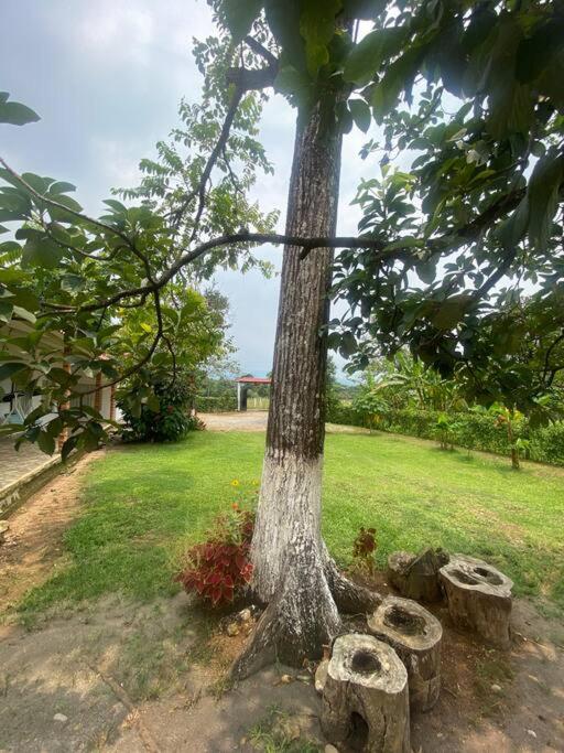 Finca Villa Rosita Guamal - Meta