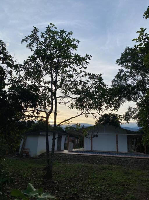 Finca Villa Rosita Guamal - Meta