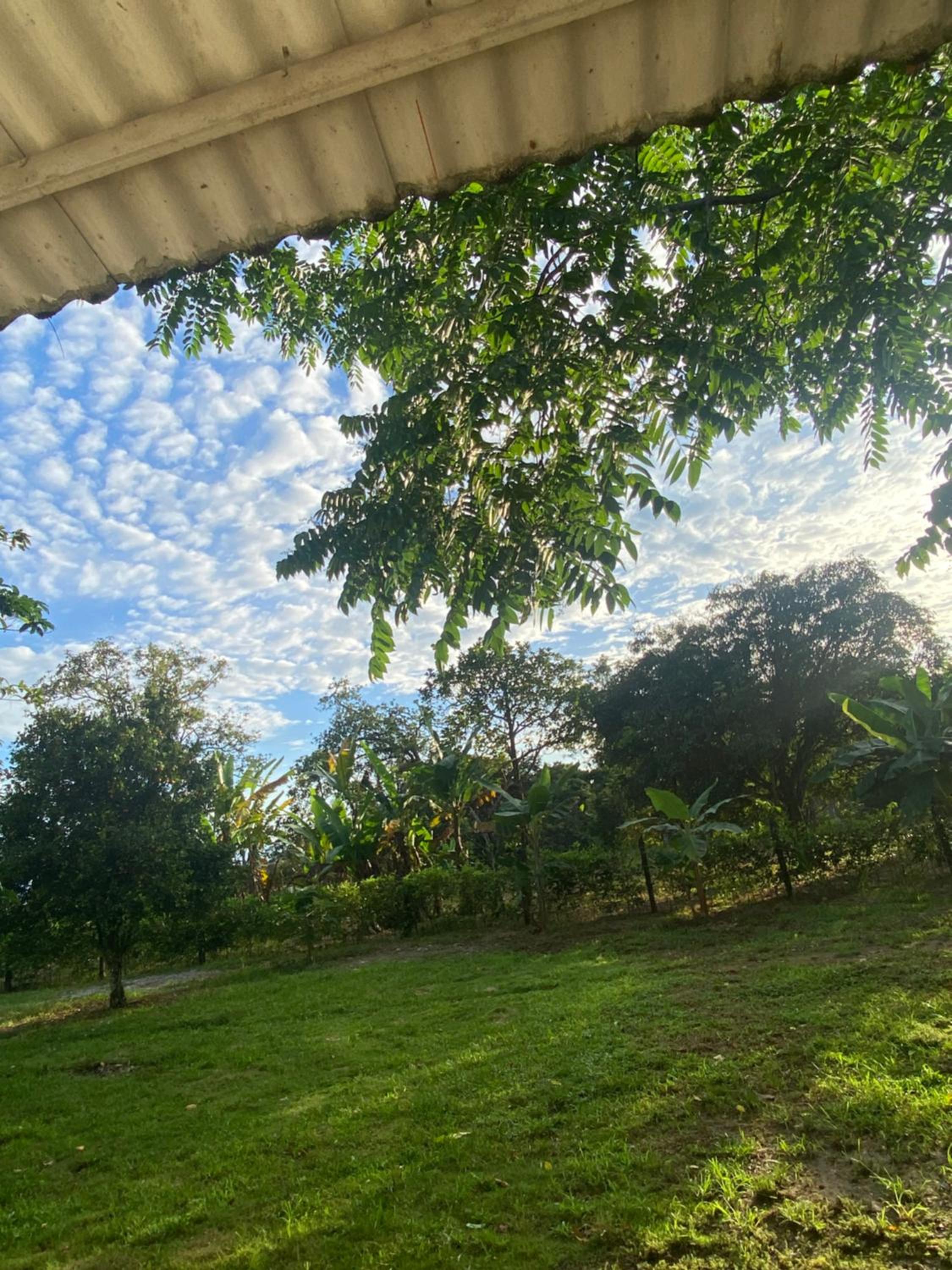Finca Villa Rosita Guamal - Meta