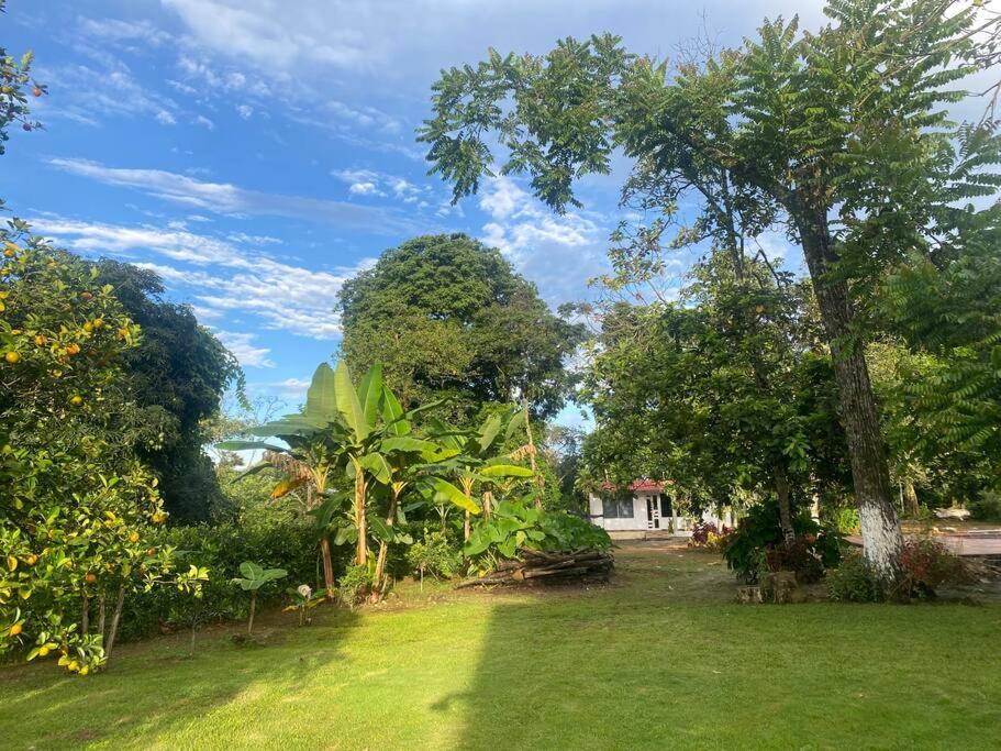 Finca Villa Rosita Guamal - Meta