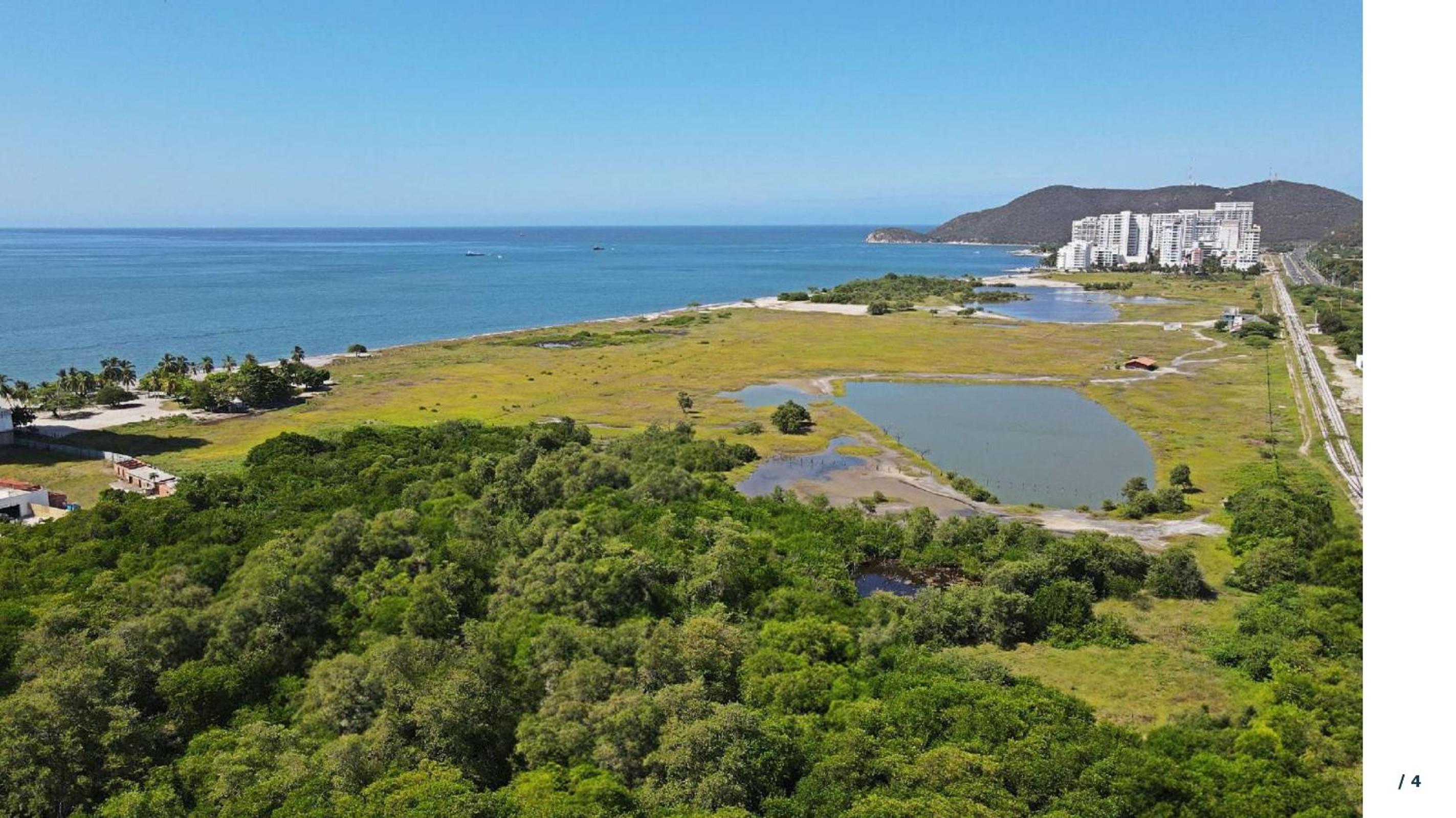 Ámbar roca Santa Marta