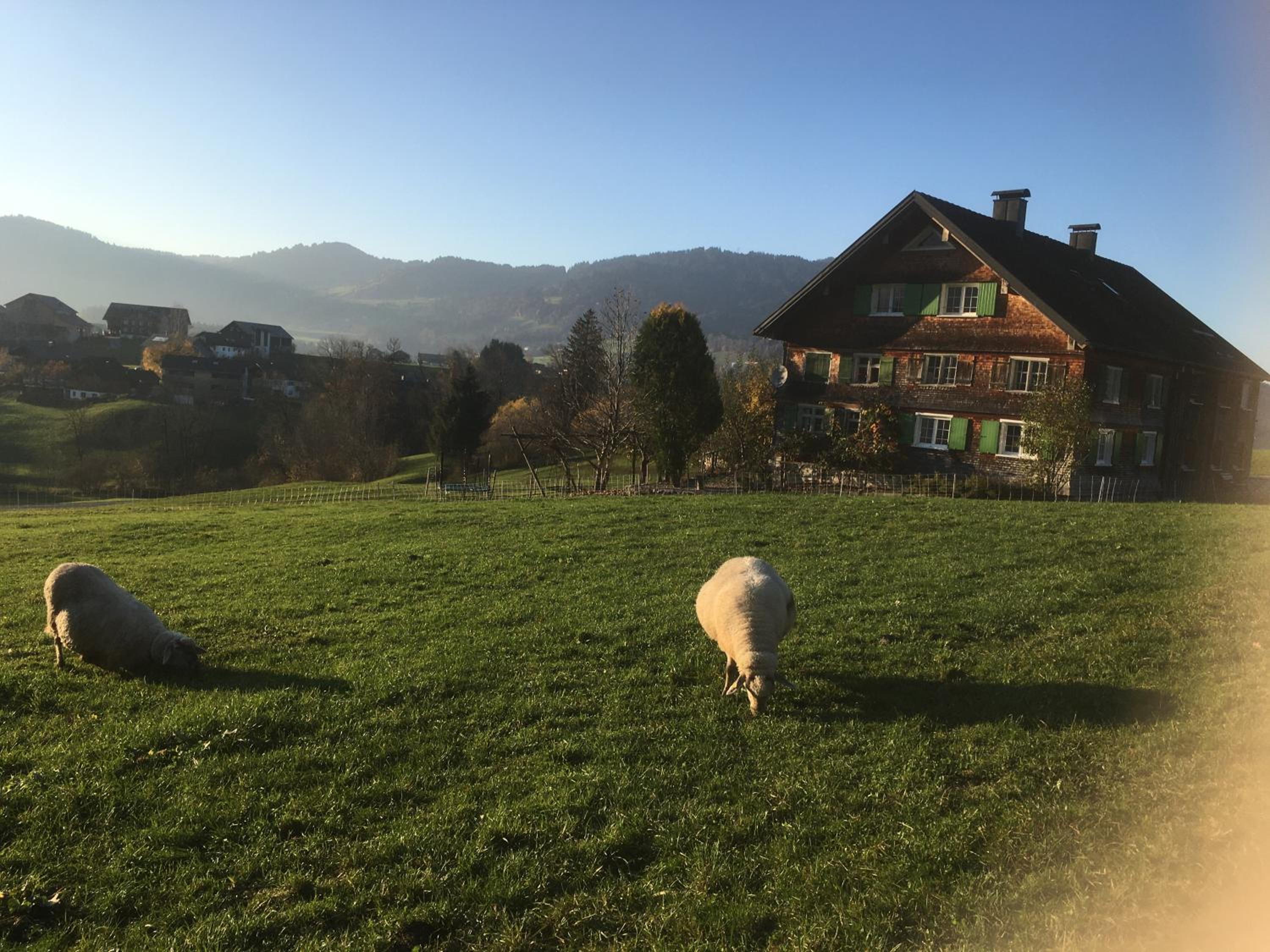 Ferienhaus Ritter