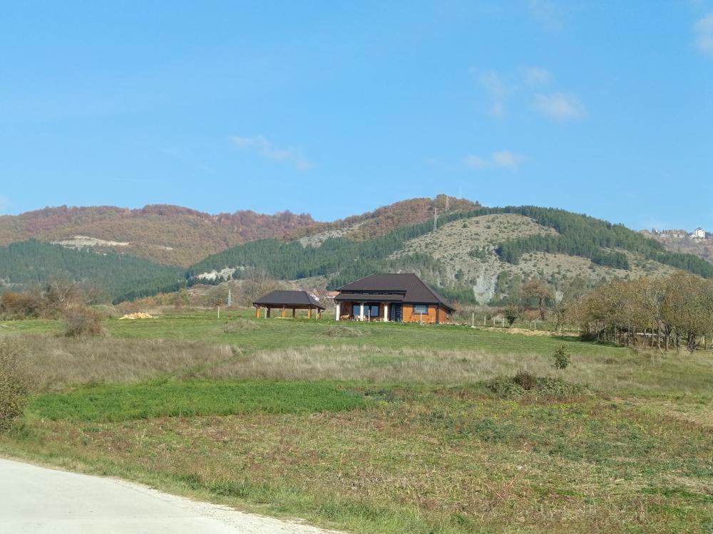 Photo 7