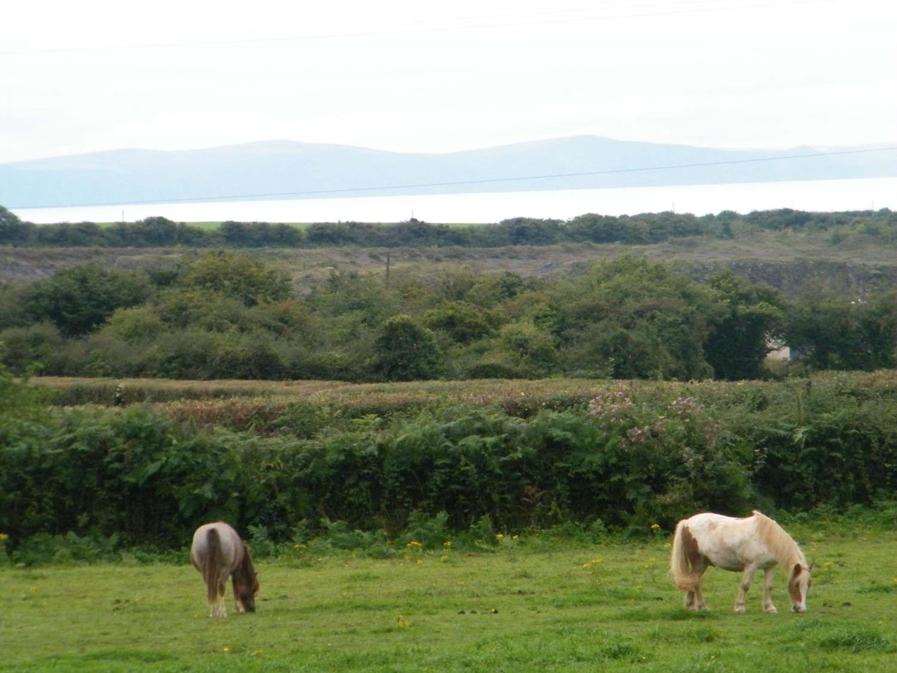 Photo 43