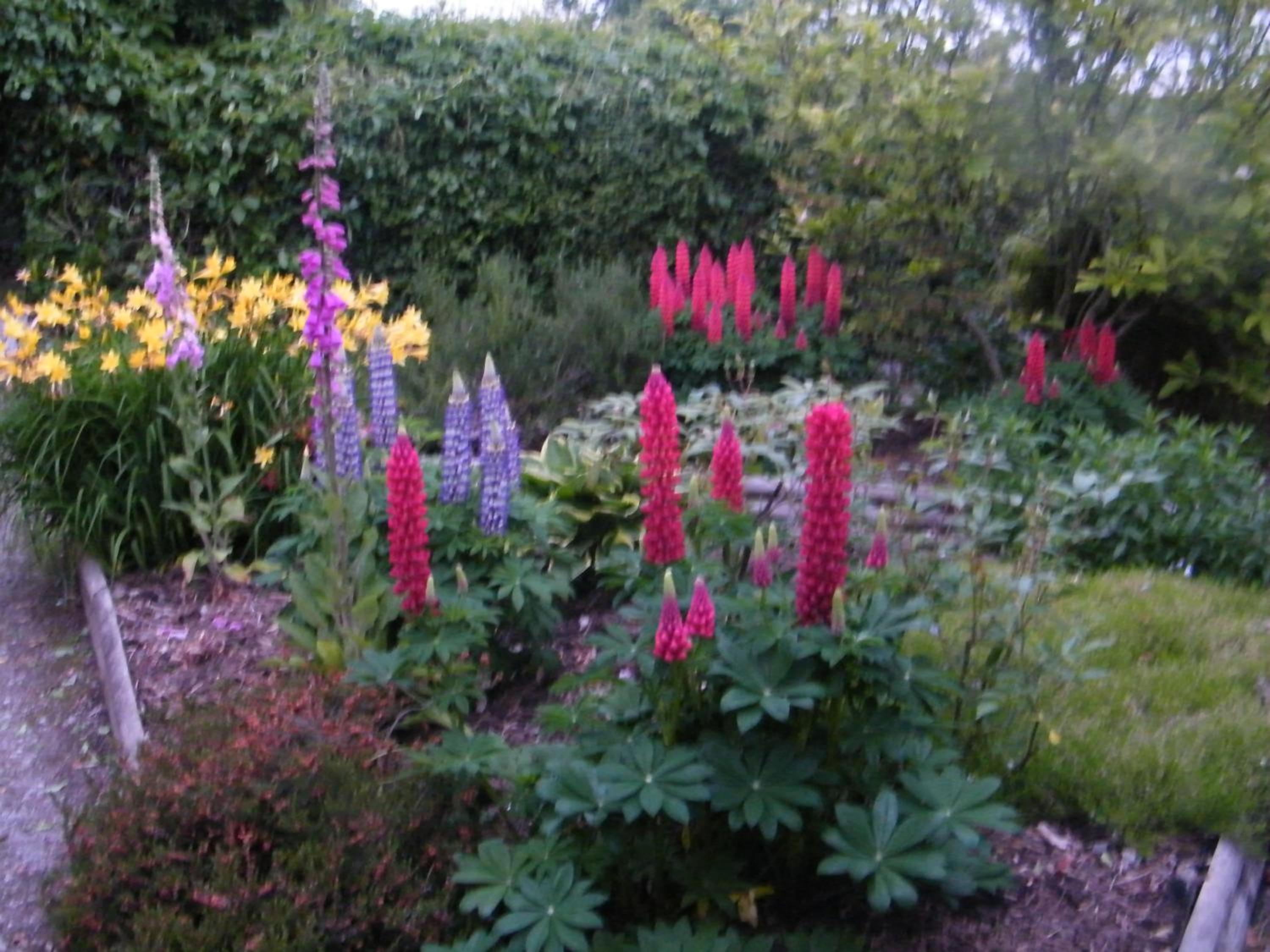 Photo 45