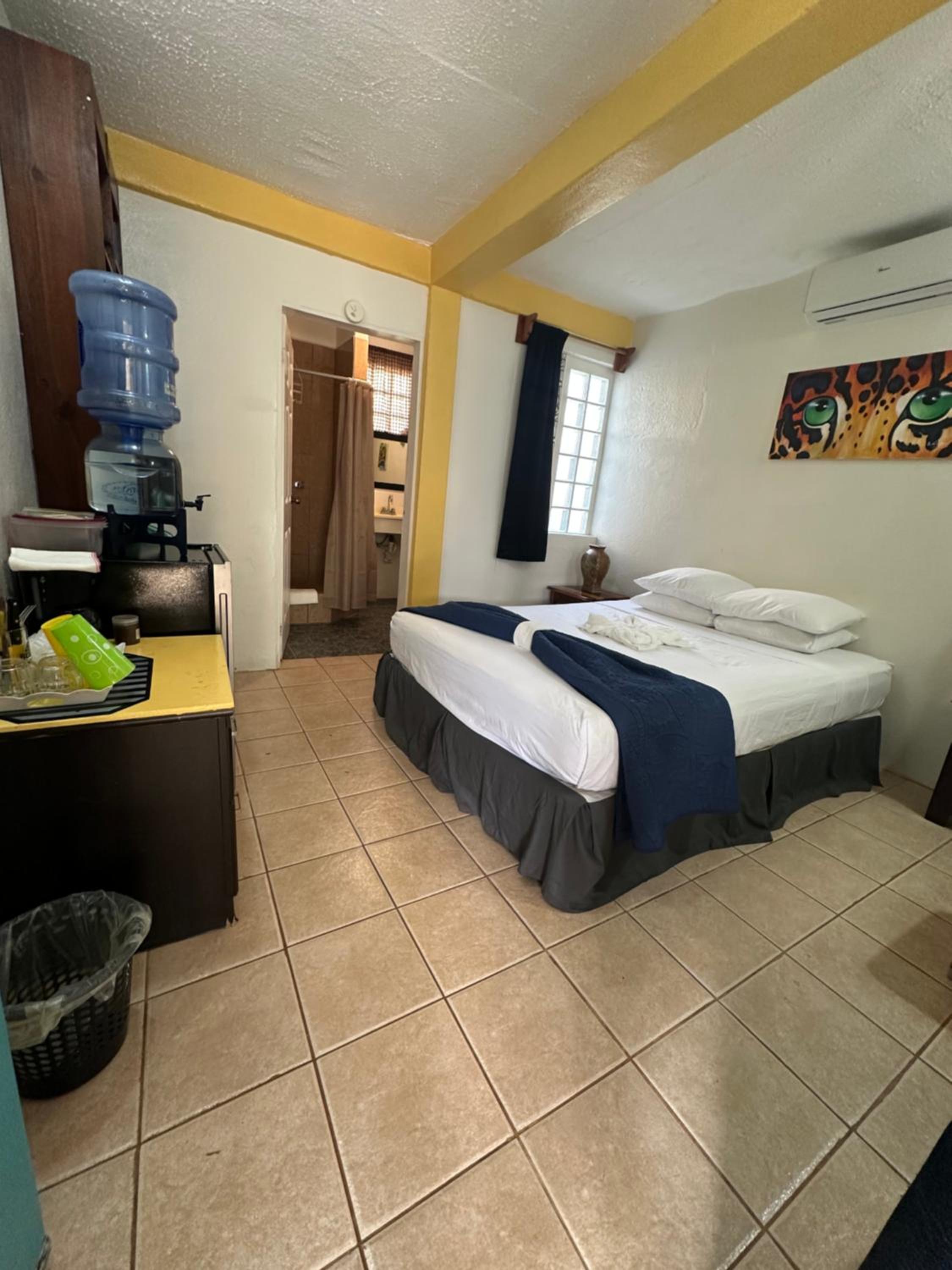 All Seasons Belize